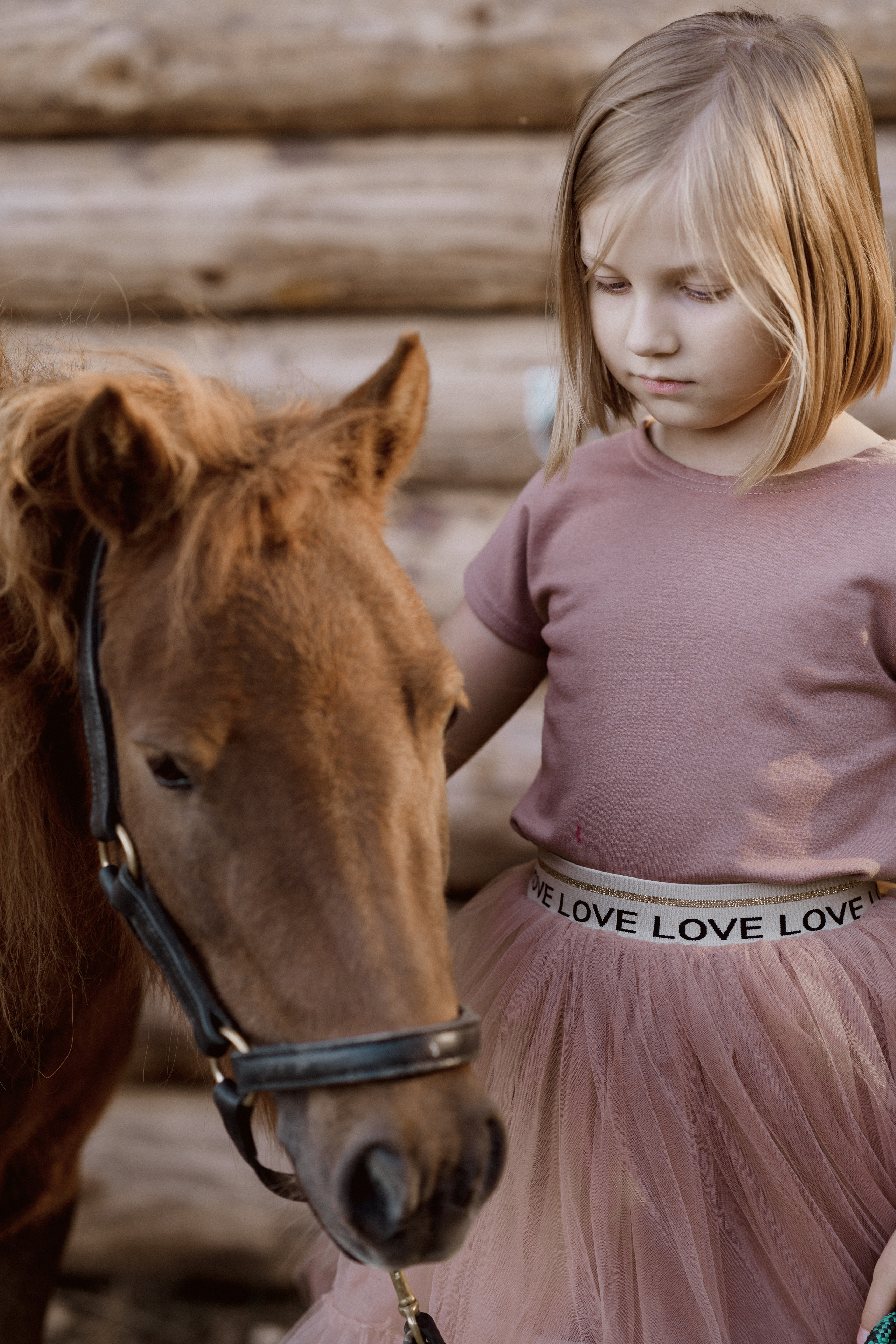 Фотосессия с американской миниатюрной лошадкой. Абрамцево. Семейный и детский фотограф в Сергиев Посаде, Хотьково Якимчук Любовь