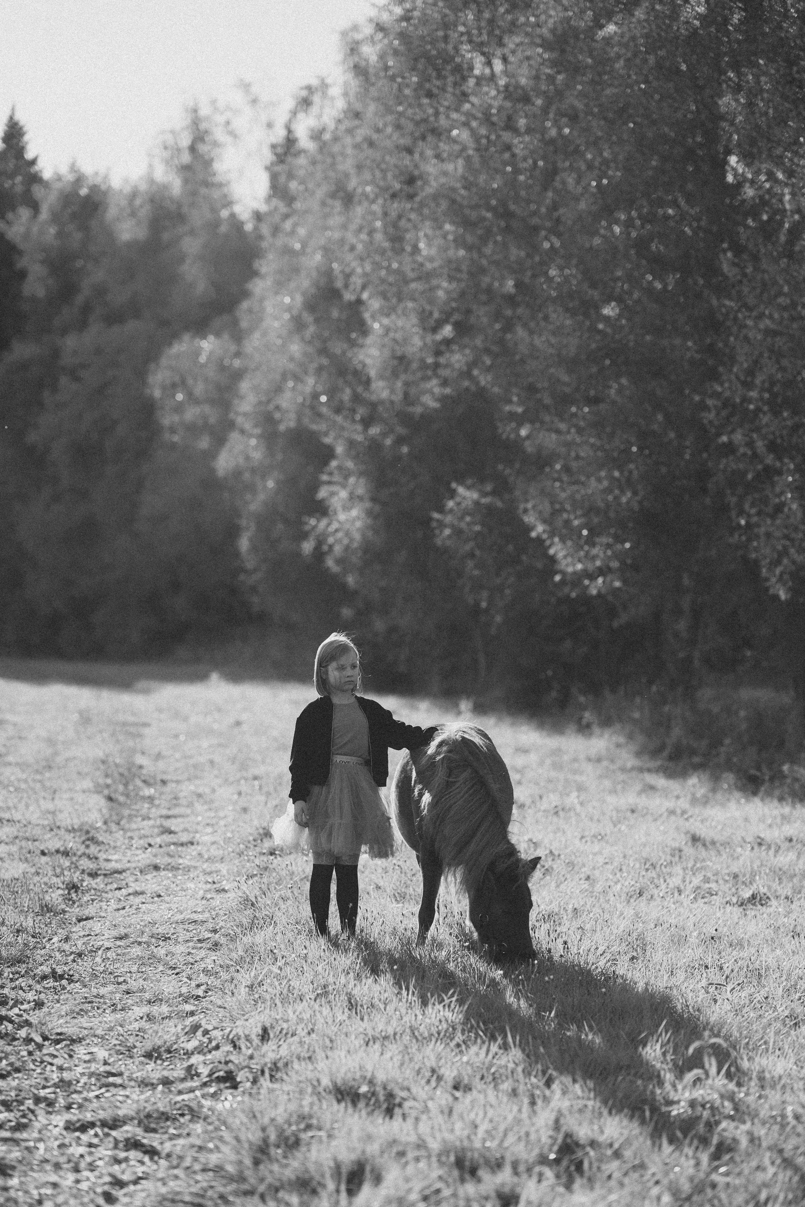 Фотосессия с американской миниатюрной лошадкой. Абрамцево. Семейный и детский фотограф в Сергиев Посаде, Хотьково Якимчук Любовь