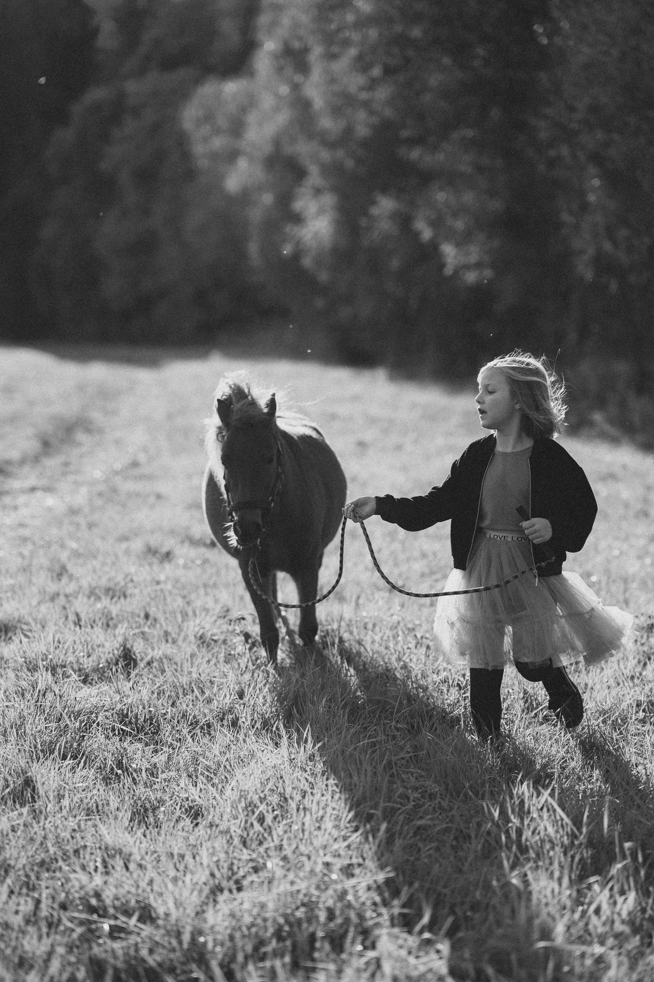 Фотосессия с американской миниатюрной лошадкой. Абрамцево. Семейный и детский фотограф в Сергиев Посаде, Хотьково Якимчук Любовь
