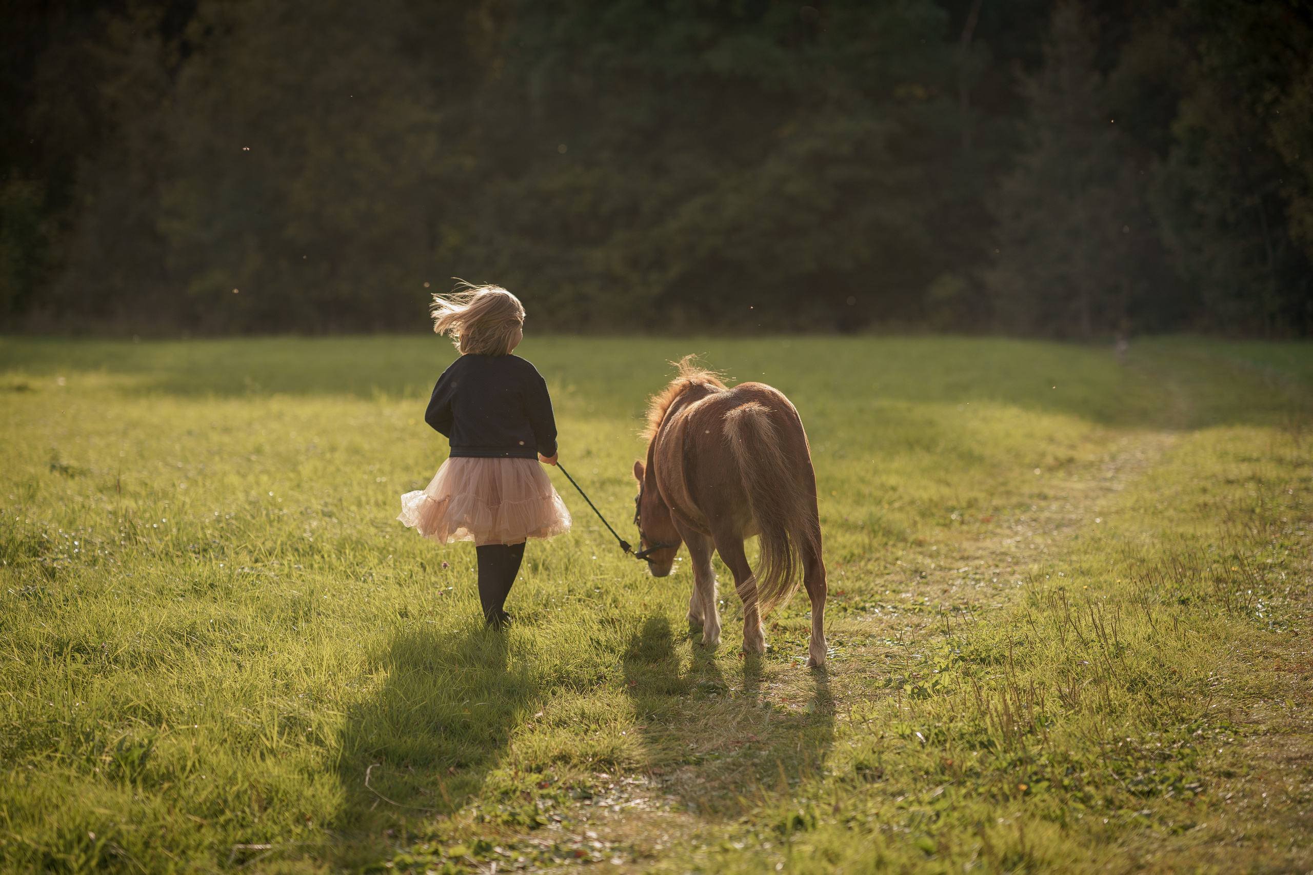 Фотосессия с американской миниатюрной лошадкой. Абрамцево. Семейный и детский фотограф в Сергиев Посаде, Хотьково Якимчук Любовь