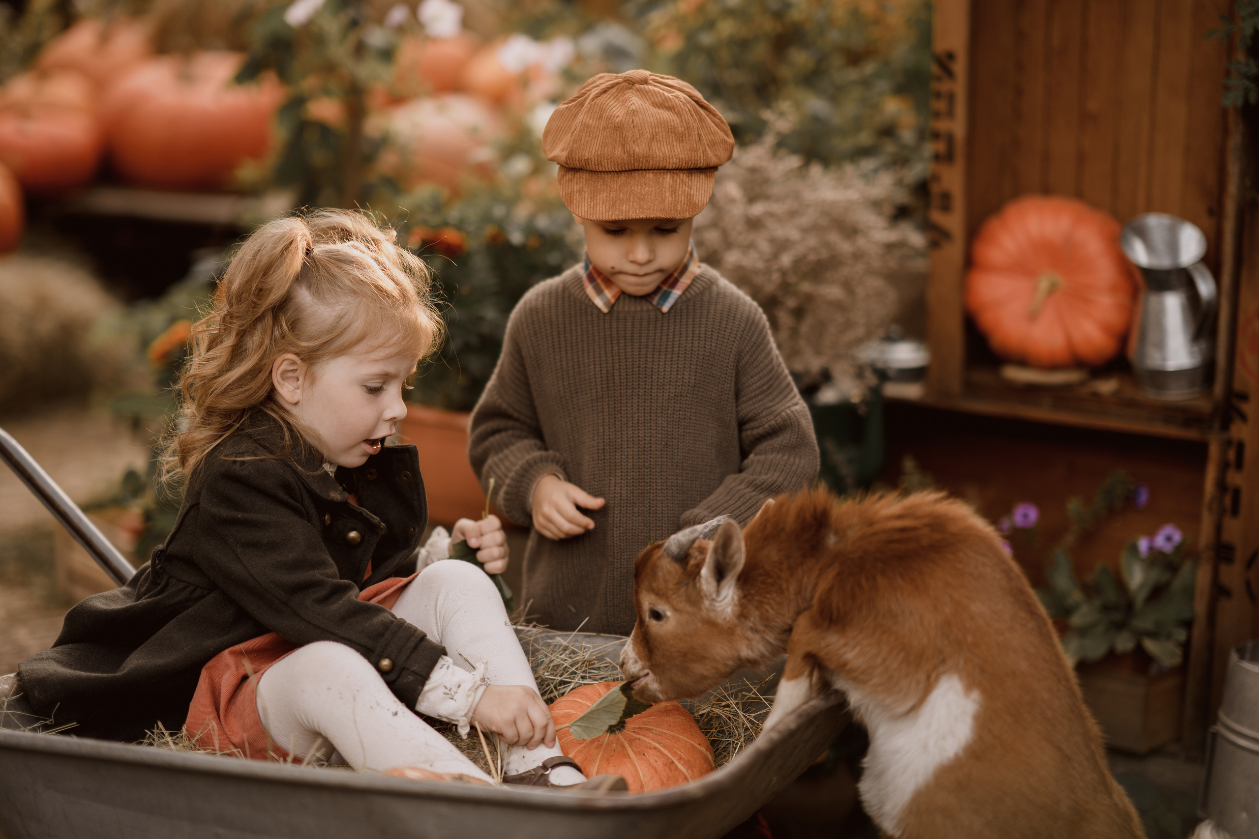Ева и Мироша. Семейный и детский фотограф в Сергиев Посаде, Хотьково Якимчук Любовь