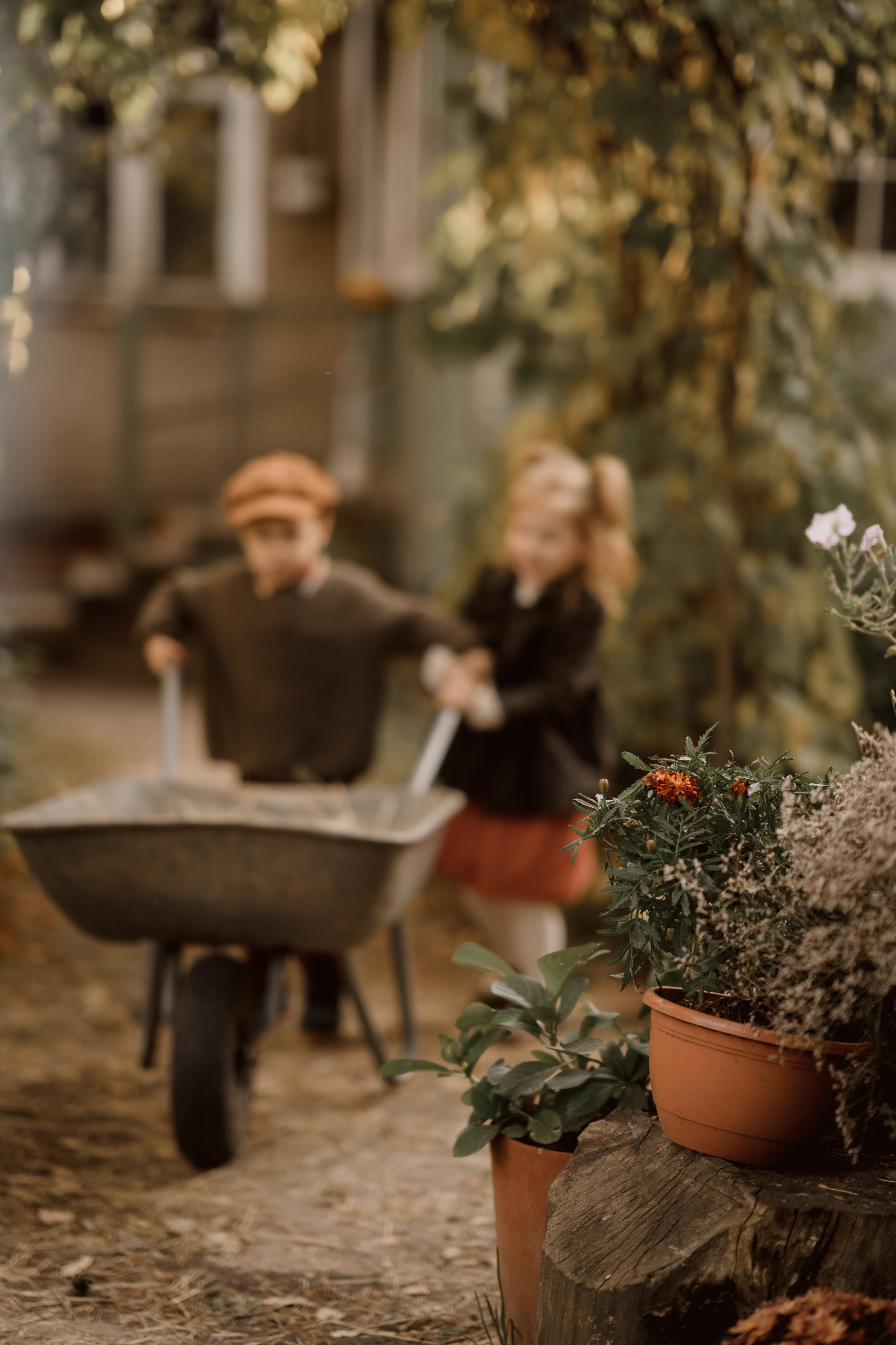 Ева и Мироша. Семейный и детский фотограф в Сергиев Посаде, Хотьково Якимчук Любовь
