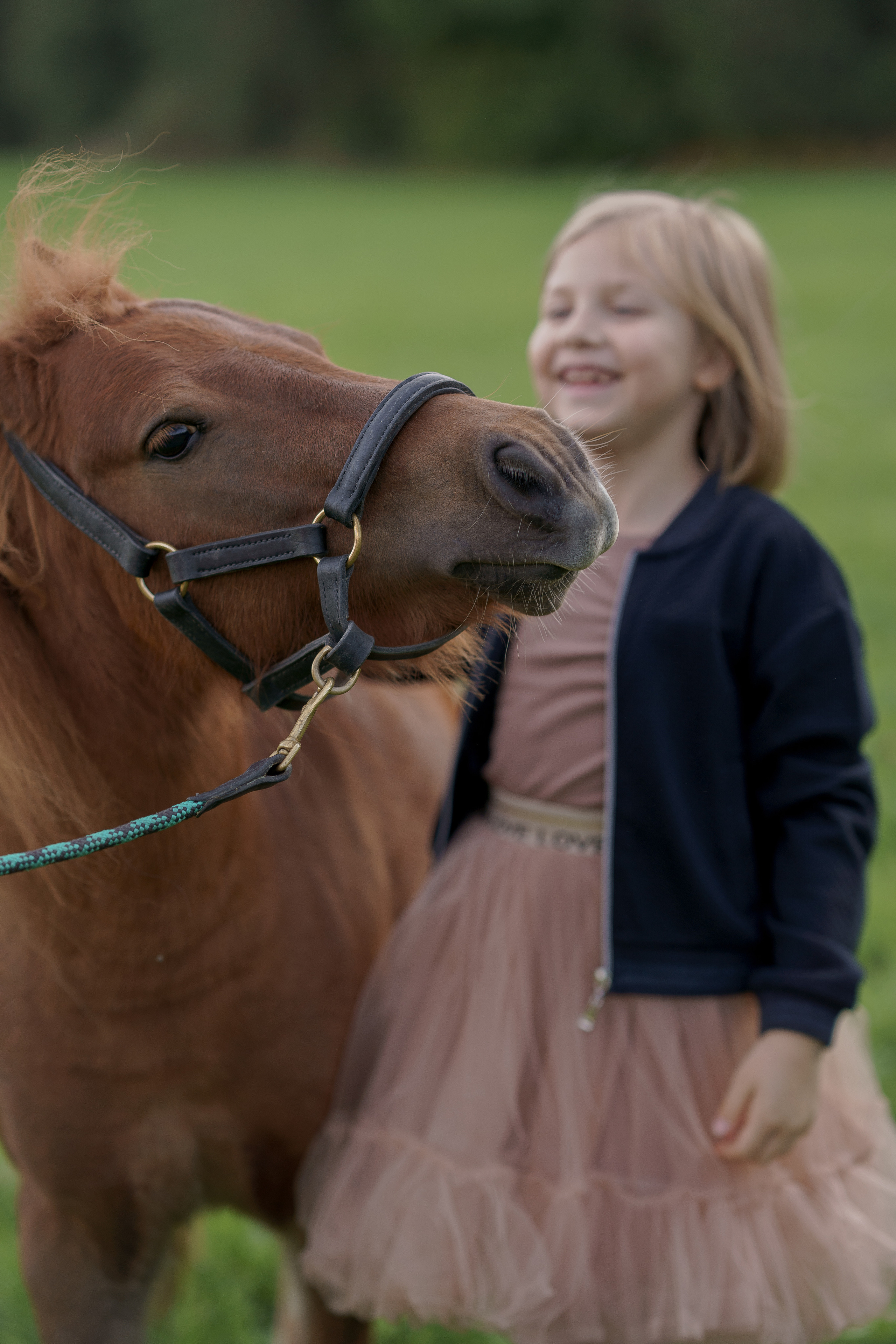 Фотосессия с американской миниатюрной лошадкой. Абрамцево. Семейный и детский фотограф в Сергиев Посаде, Хотьково Якимчук Любовь