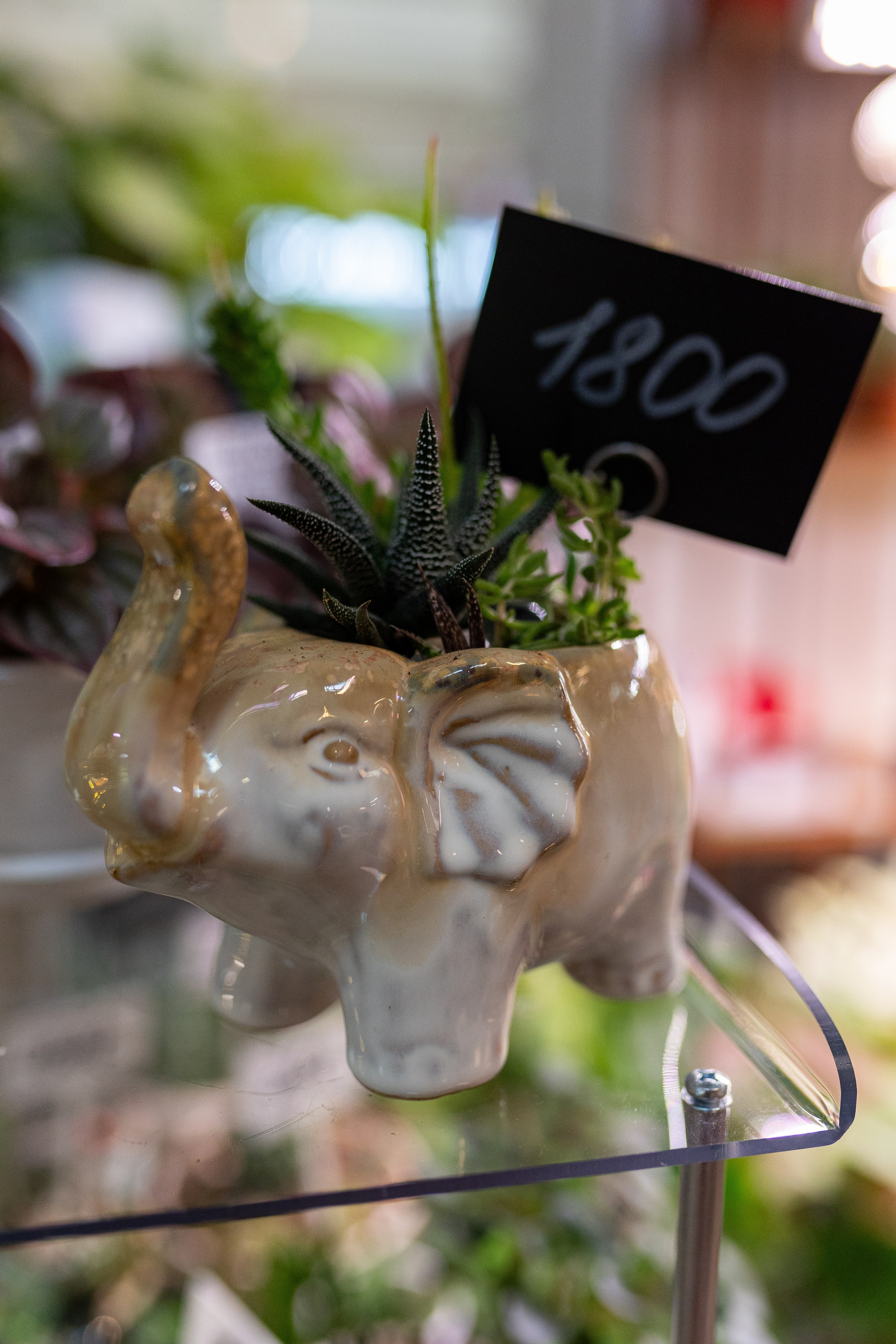 Growbox декабрь 2025. Александра Куликова фотограф, Москва