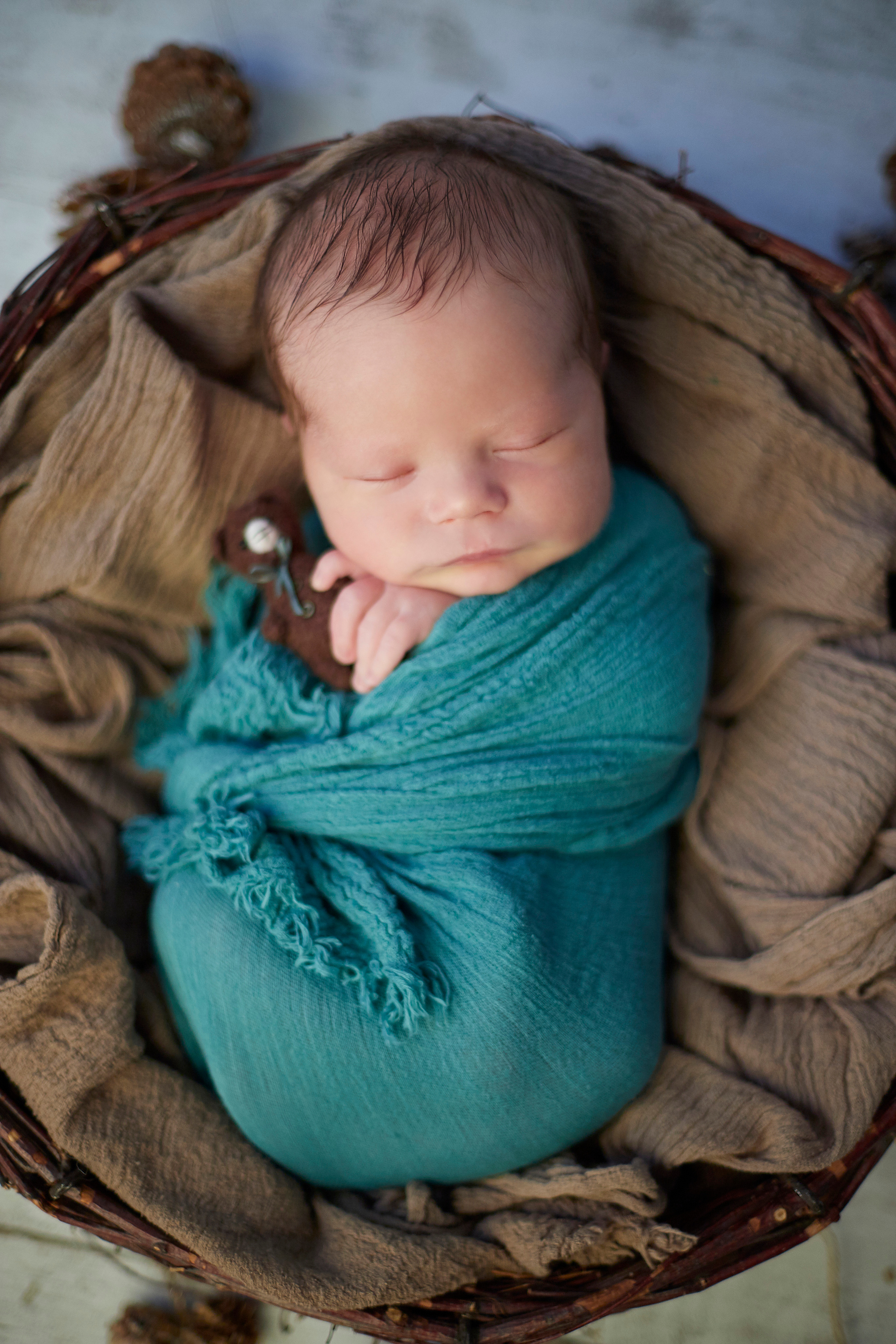 Новорожденный. Школьный фотограф в Москве Людмила Журавлева