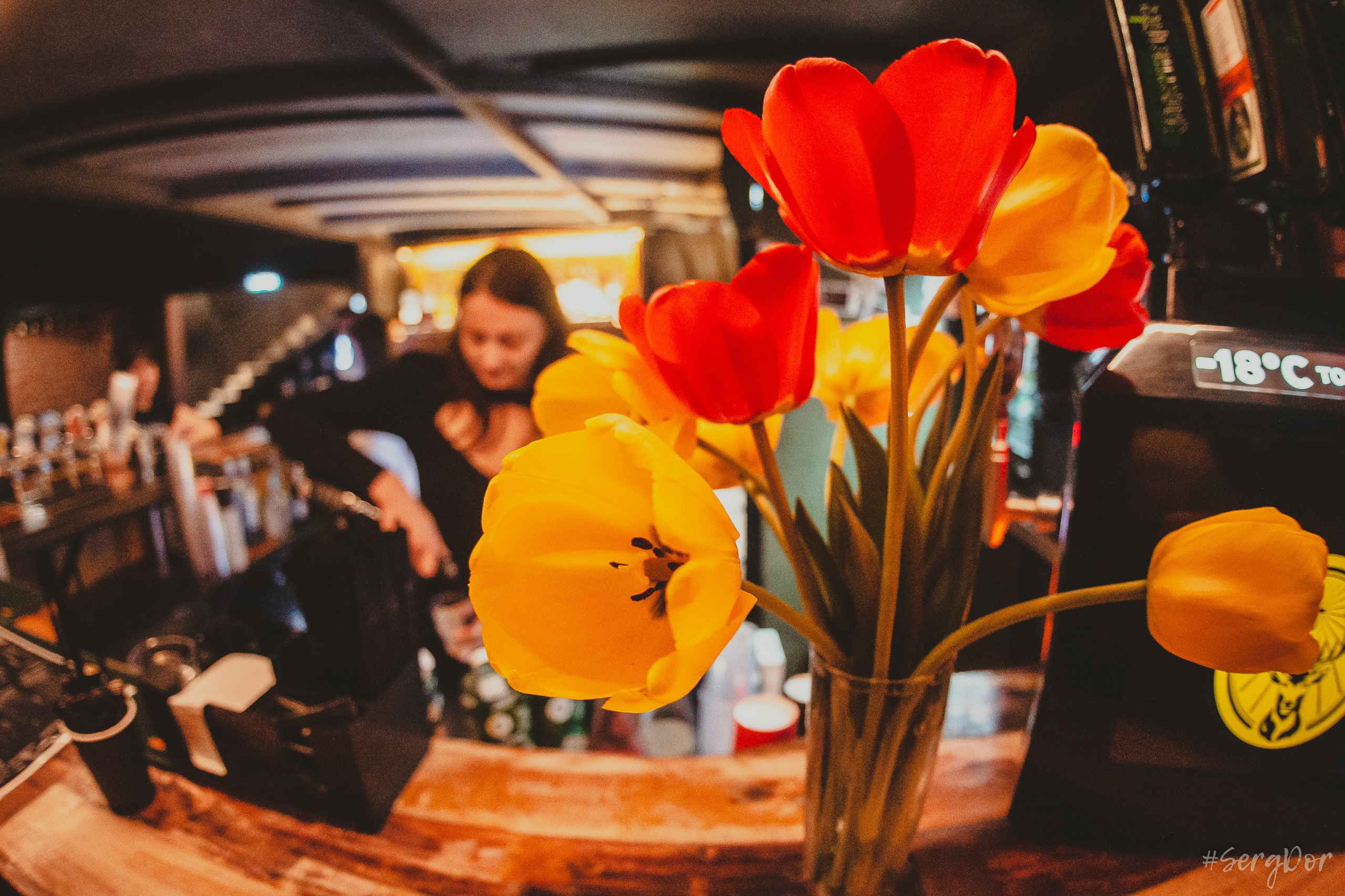 Николай Гринько, культурный центр Сердце, Санкт-Петербург, Питер, 15.05.2024, концерт, SergDor, 15 мая 2024 года, #SergDor