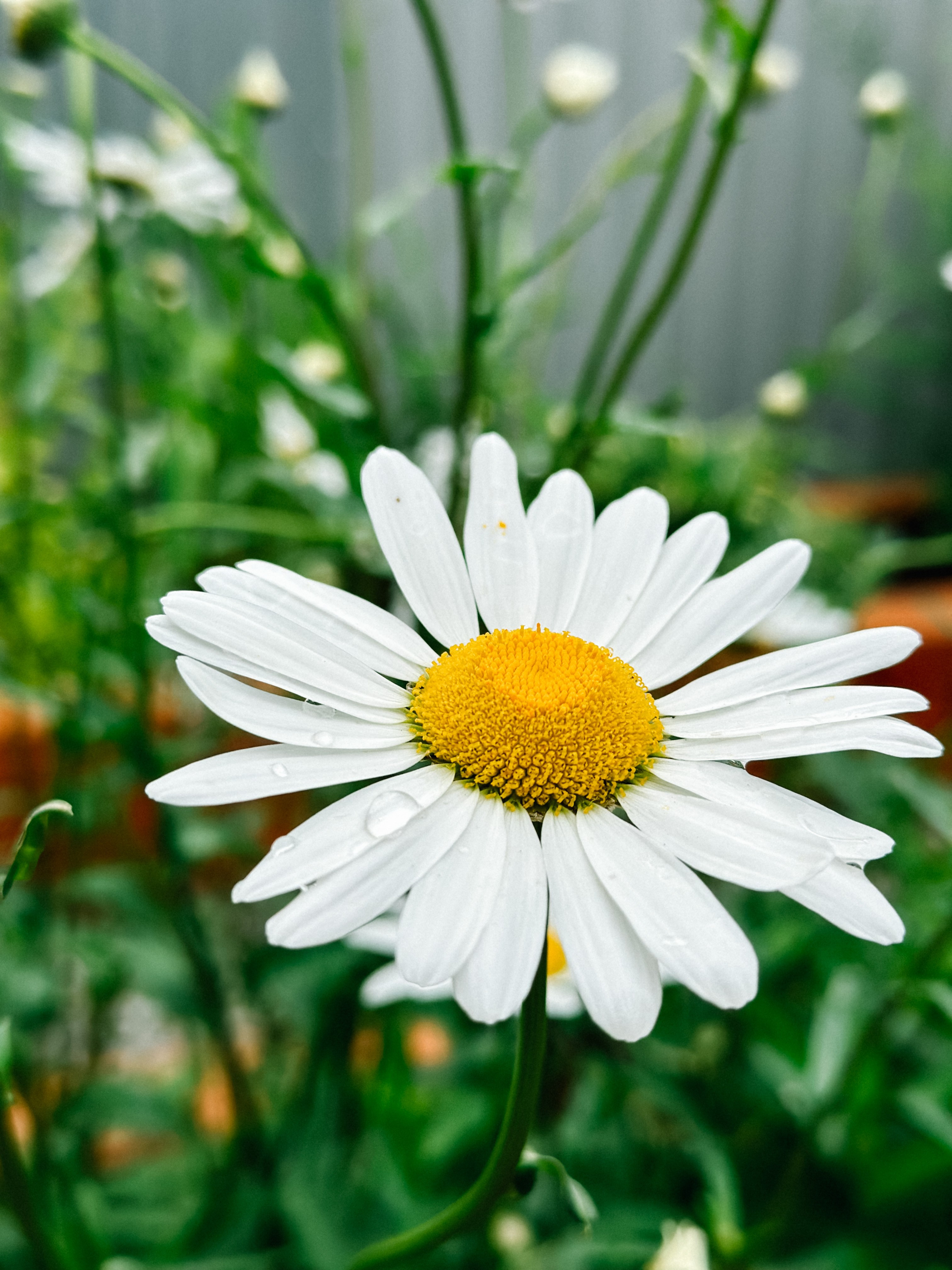 Природа. Команда фотографов Кристины Ивановой