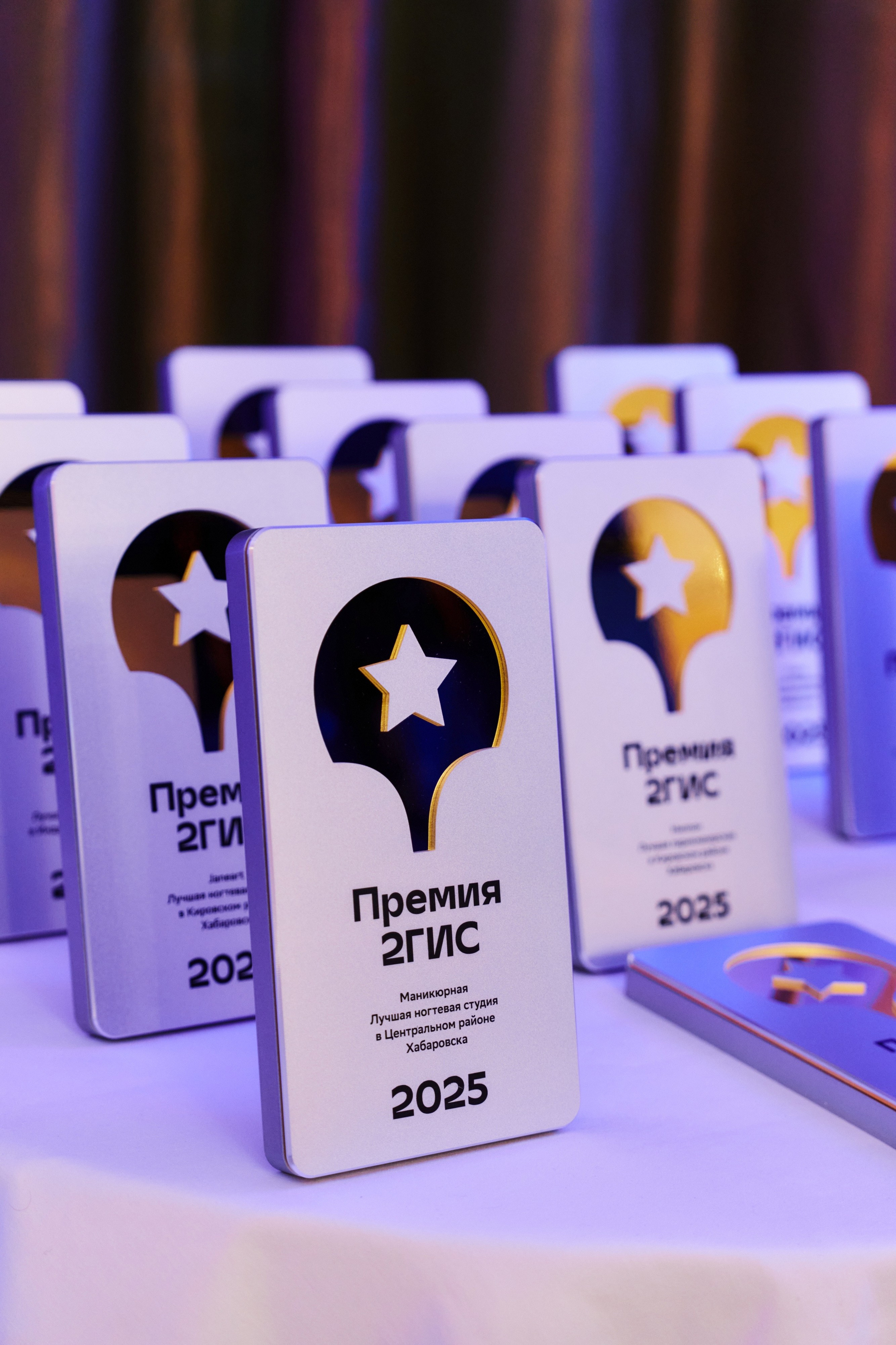 ПРЕМИЯ 2ГИС 2025 [PART II]. СВОИ. ФОТООТЧЕТЫ-СОБЫТИЯ-МЕСТА