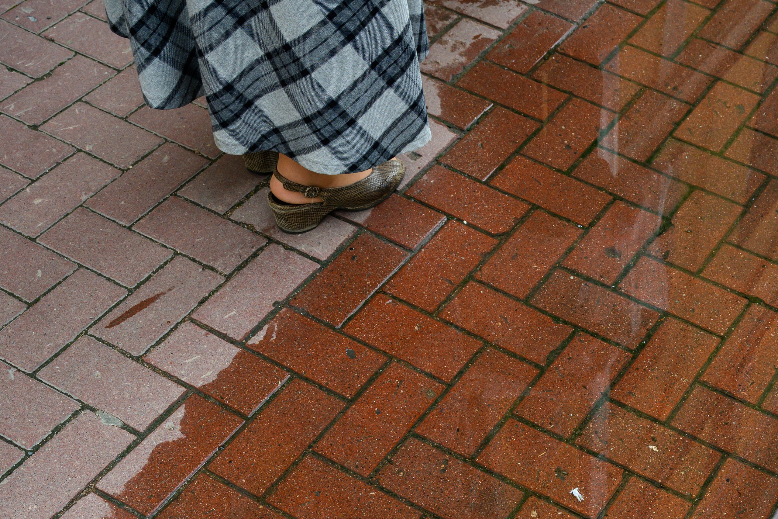 Dimitri Bakhtadze, colour photos. Dimitri Bakhtadze photographer