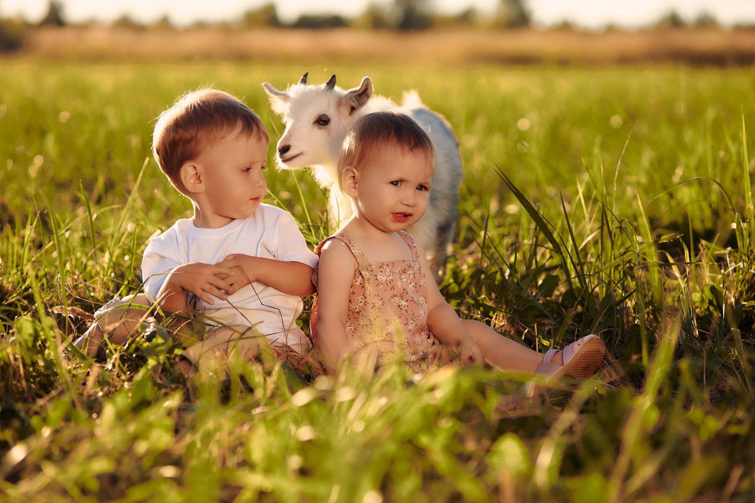 Андрей, Катя, Дима и Настя. Свадебный фотограф Чайковский