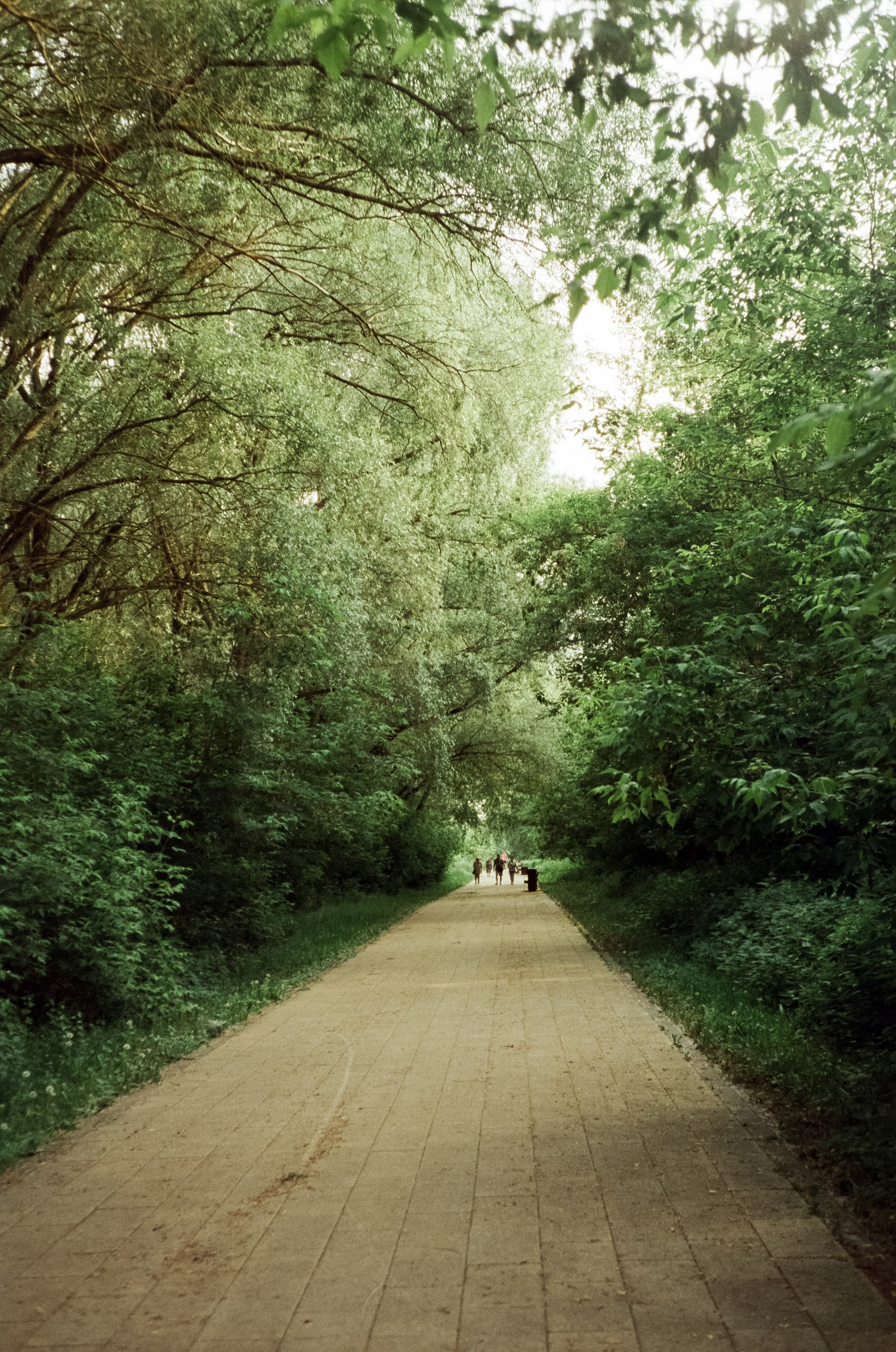 Agfa Optima Sensor 1035 / SFL 250D / тестовая пленка Строгино у речки