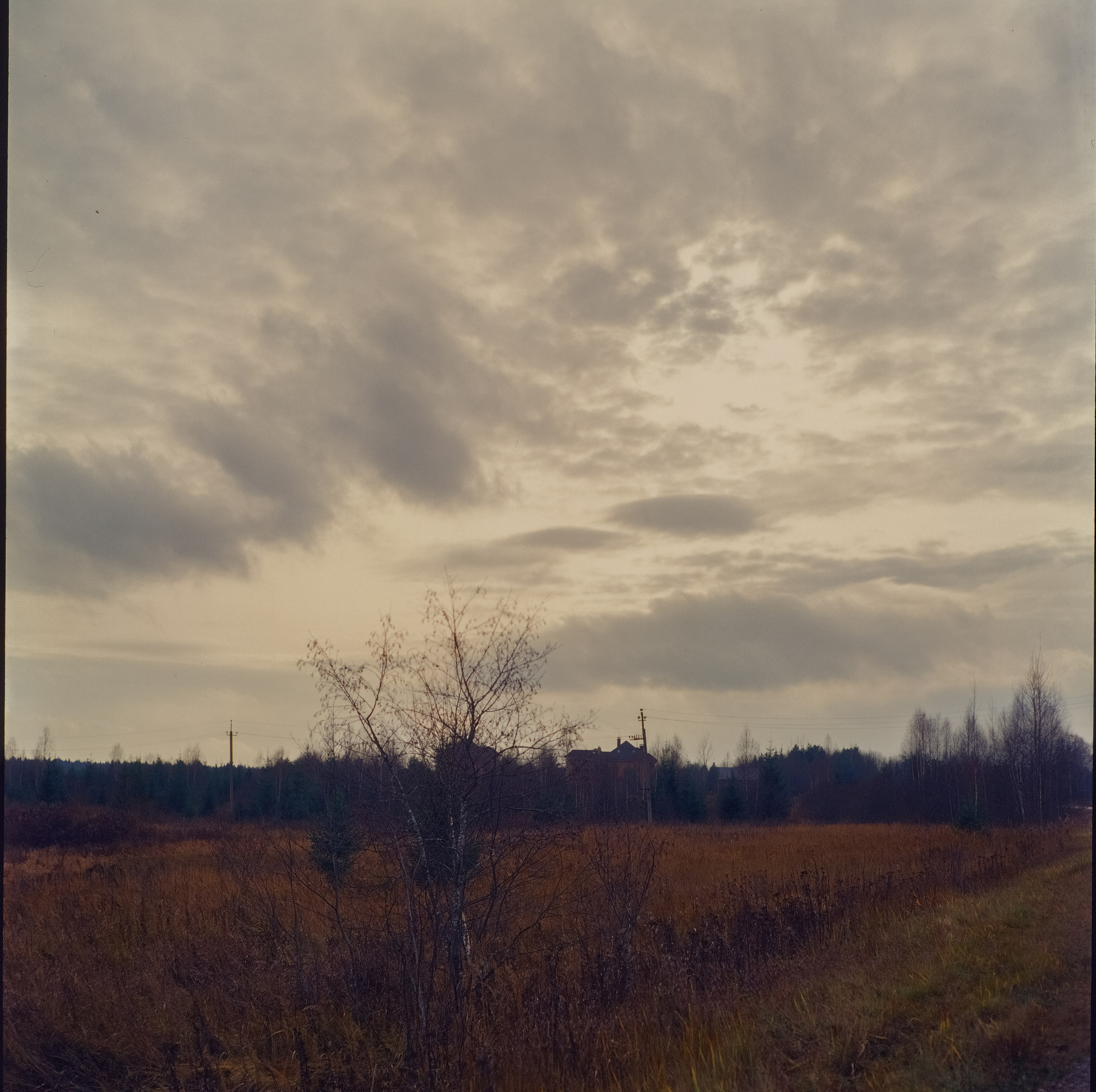 Kowa Six объектив Kowa 85 mm f2.8 пленка Ektachrome E100VS (просрочка