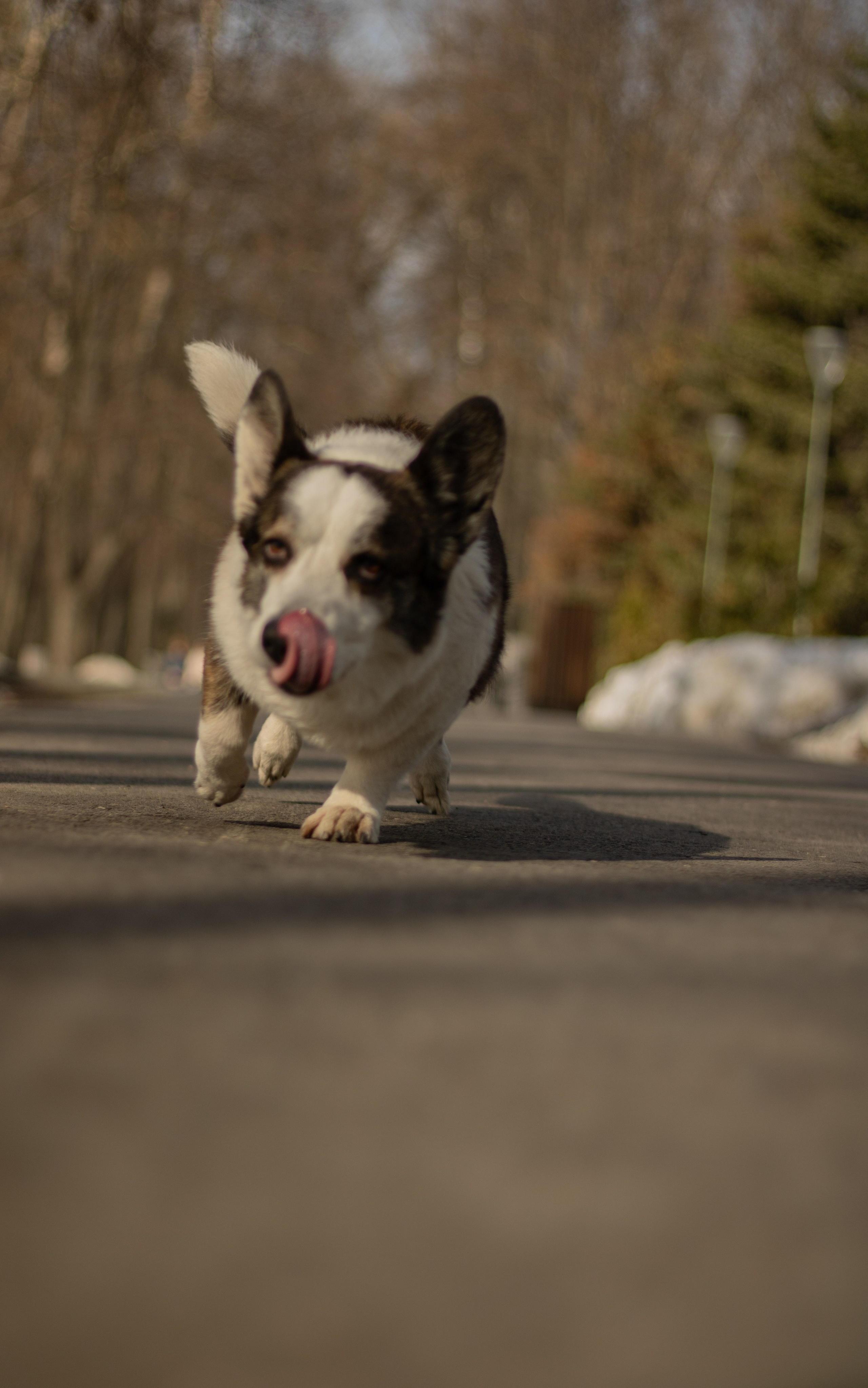 Юлия и Тэя. Катя Попова|ЛайфСтайл фотограф