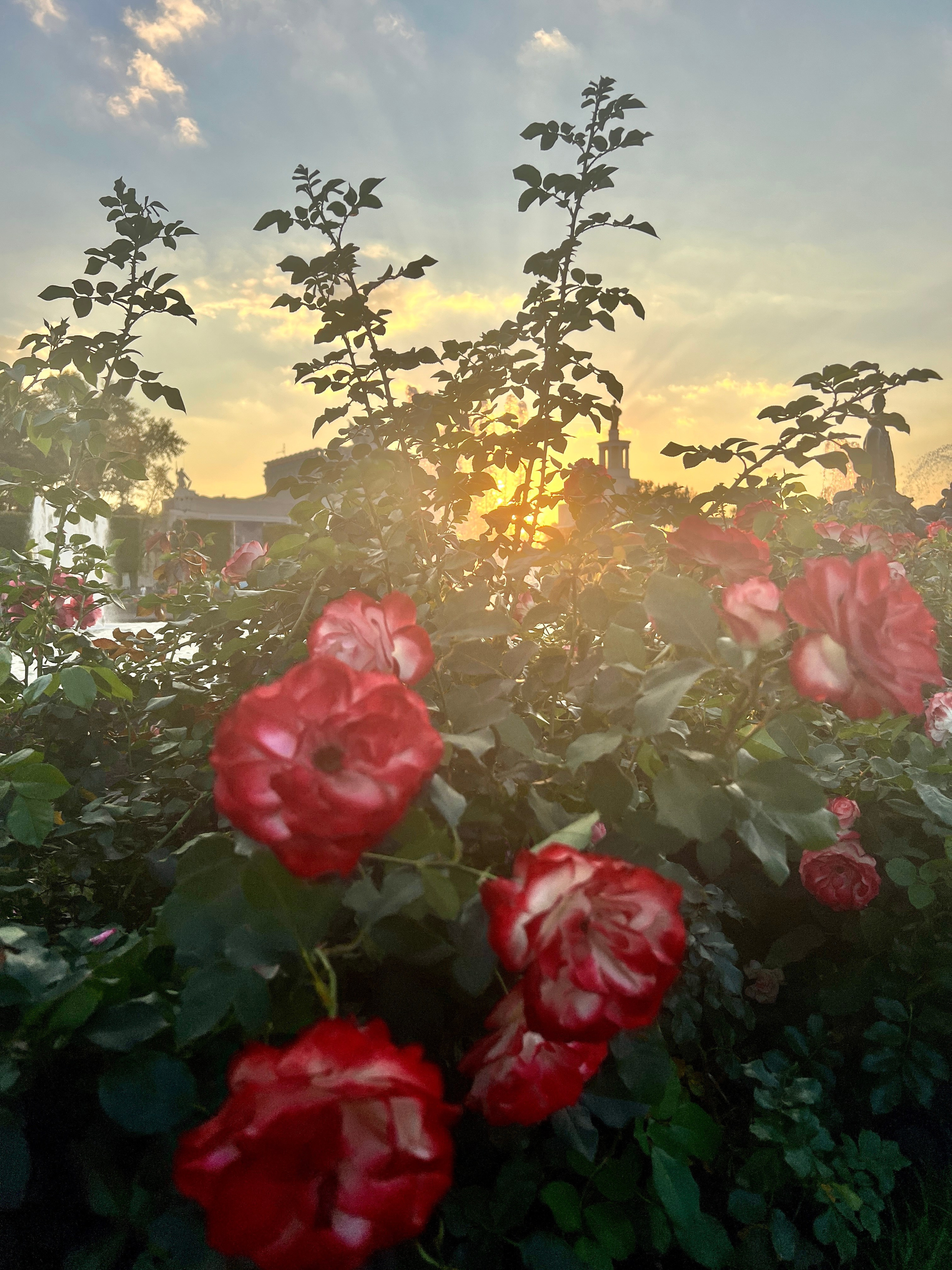 Поздравление с Международным Женским днем 8 Марта!. П&П — Полезное с Приятным. Фотоэкскурсии — Москва на память. Экскурсовод и фотограф в Москве. Увези столицу в своём альбоме!