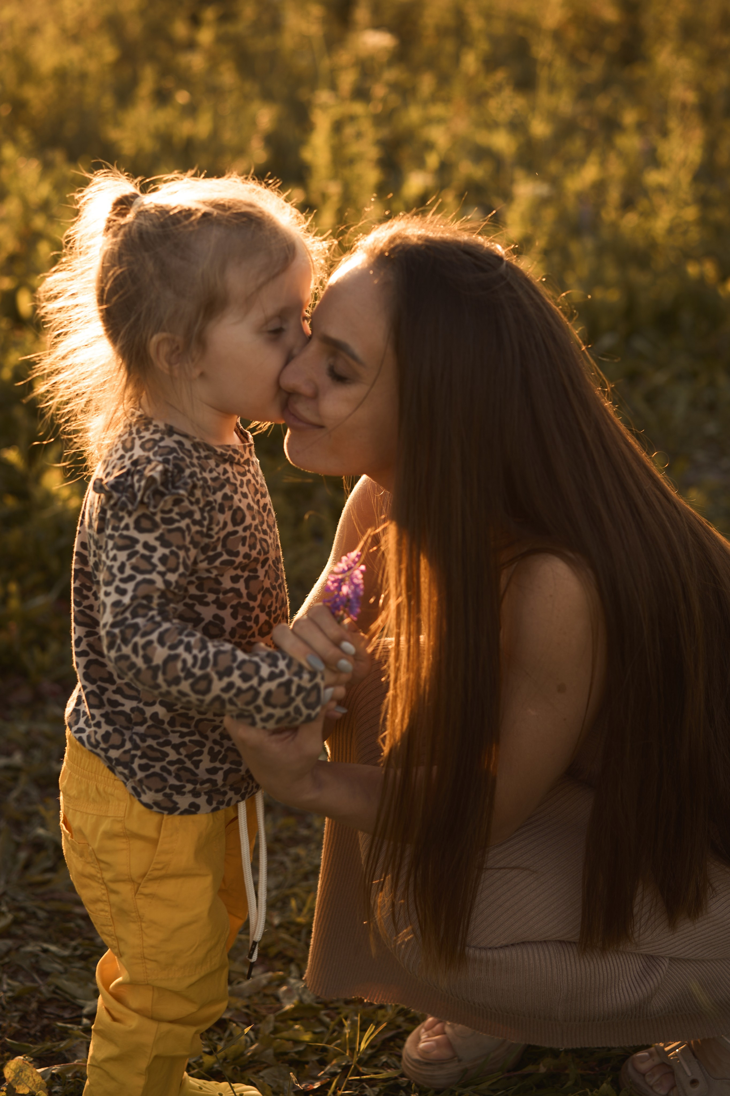 Семейная фотосессия на закате в поле😍. Фотограф Екатеринбург Кокшарова Александра