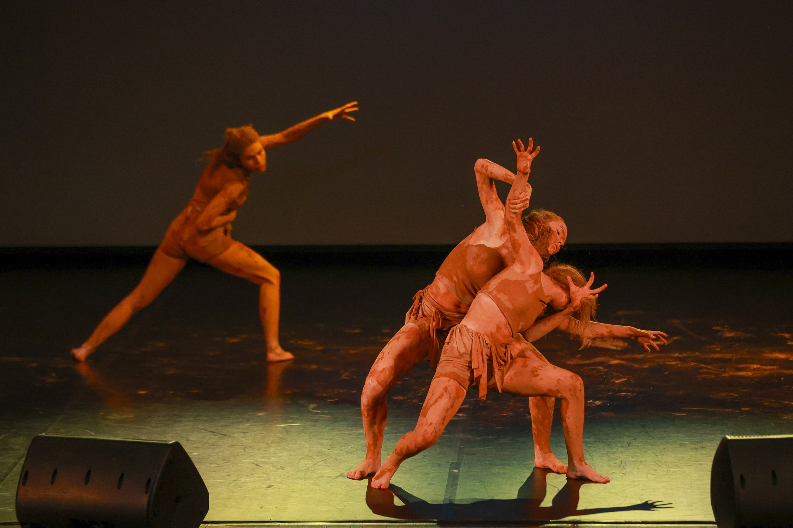 Небесные ласточки на Танц ЭКСПО 2026. Фотограф Юлия Мальцева