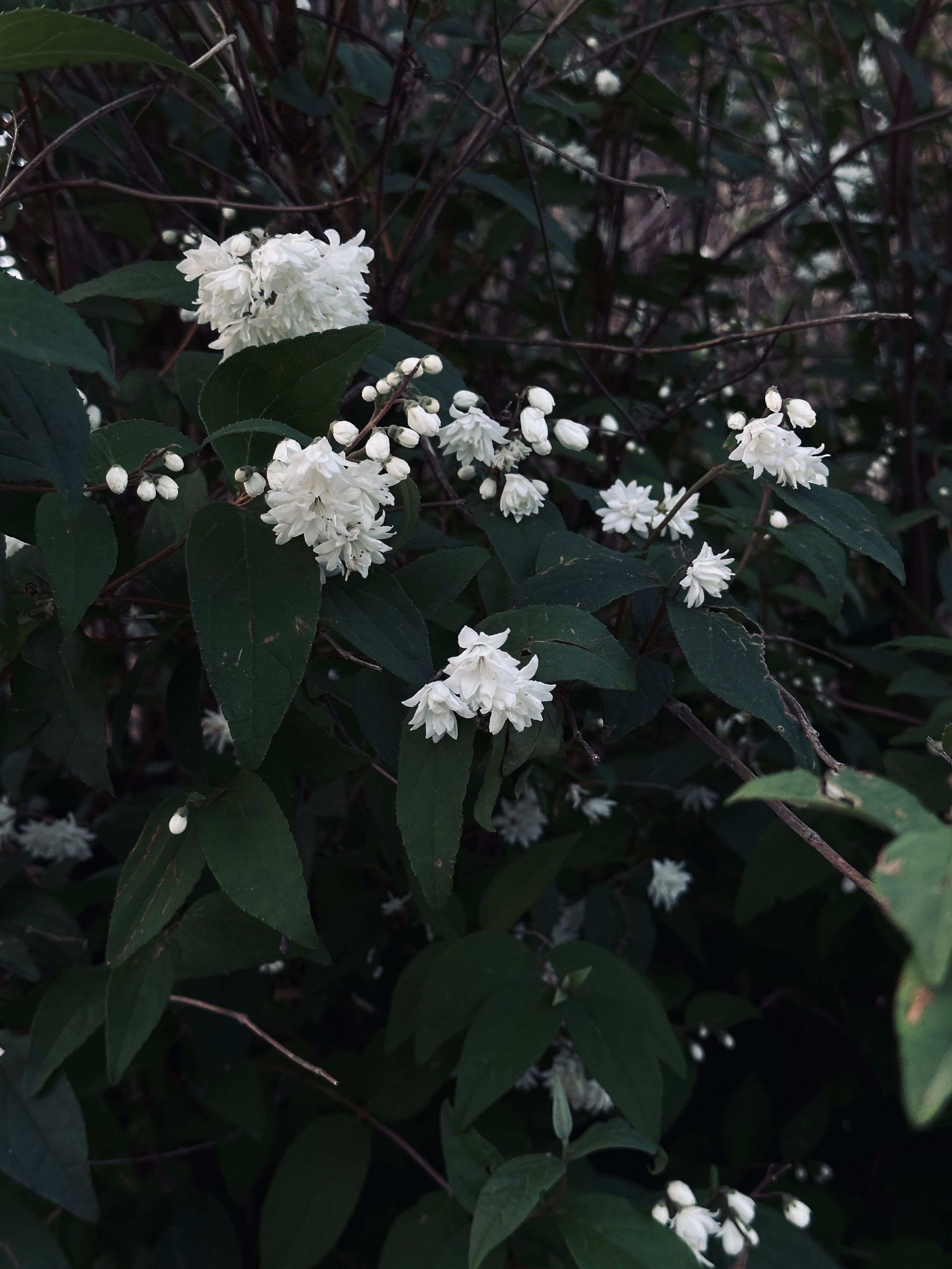 Флора и фауна. Смотри, красота!