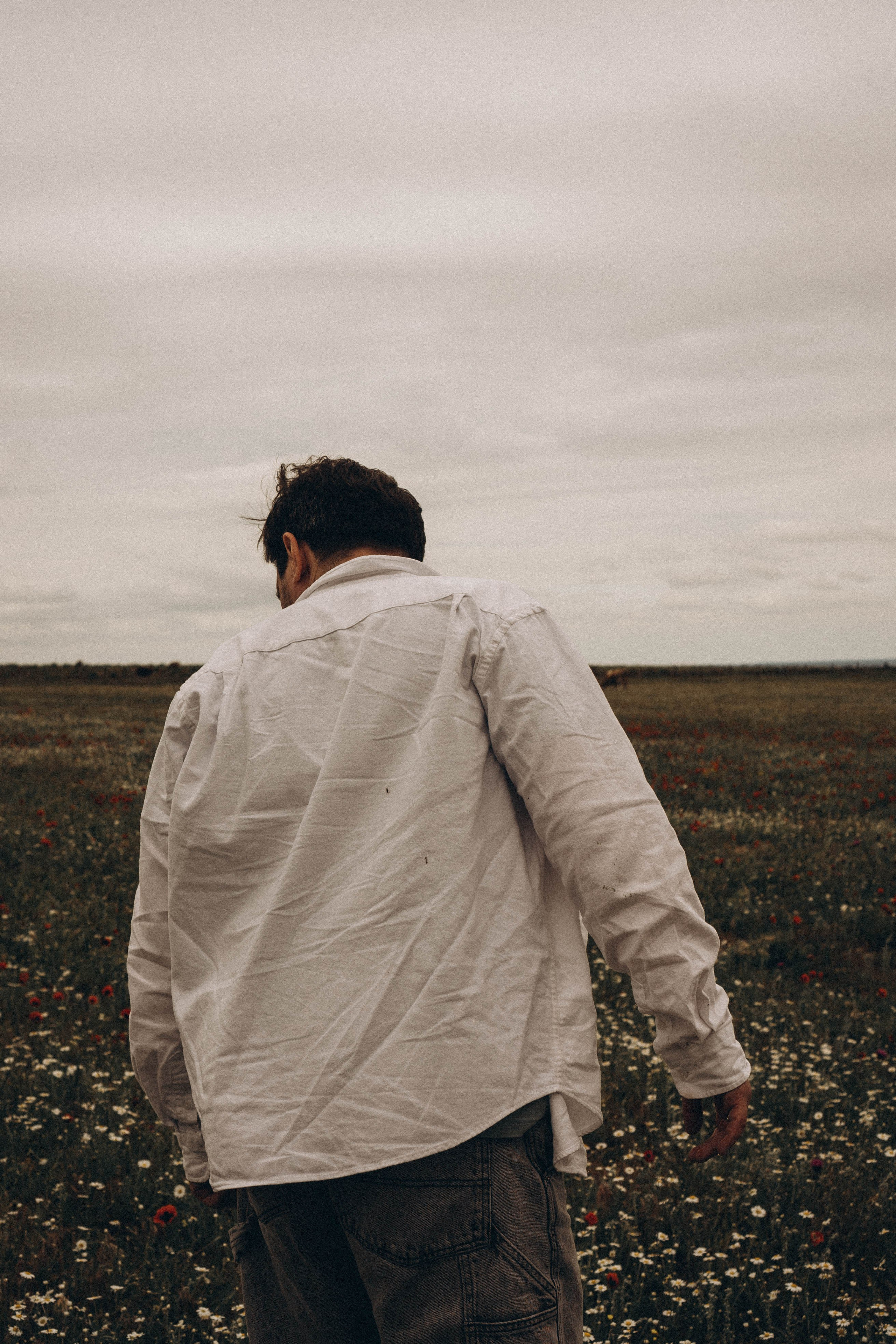 Маки. Профессиональный фотограф, Санкт-Петербург — Виктория Богомолова