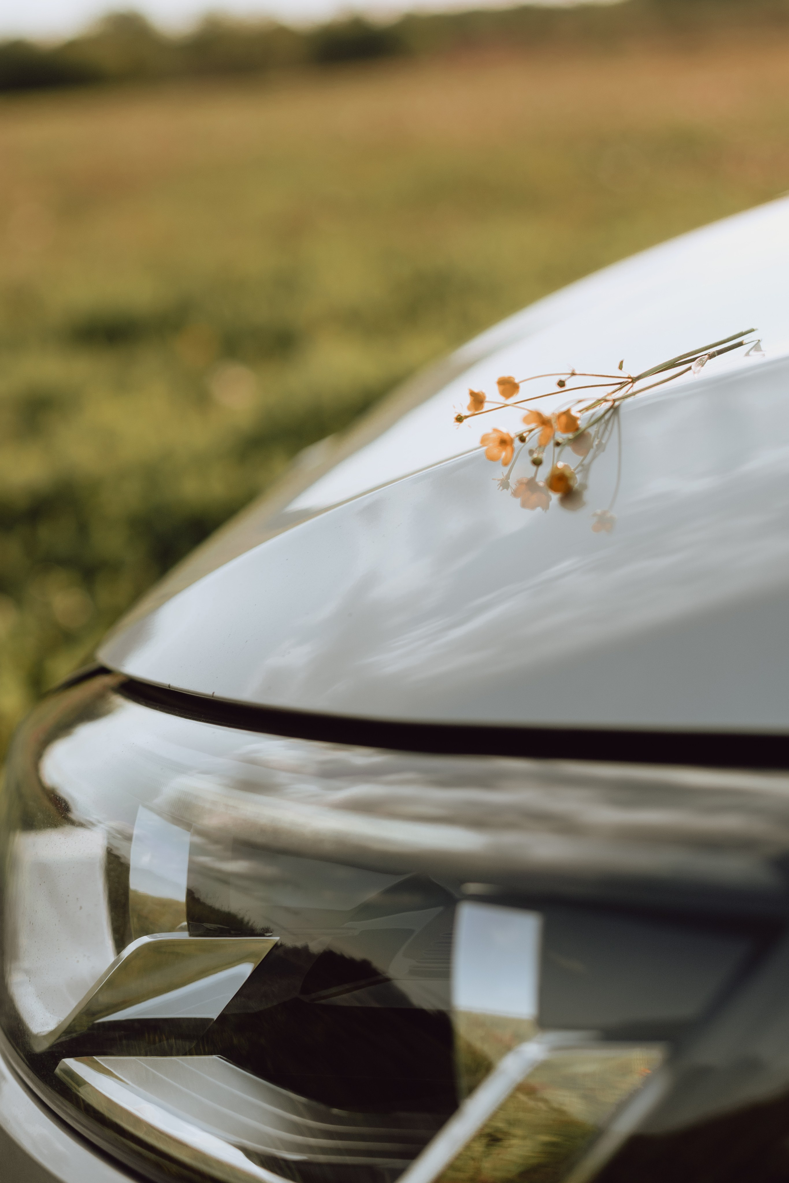 Вера и Виталик. Главная