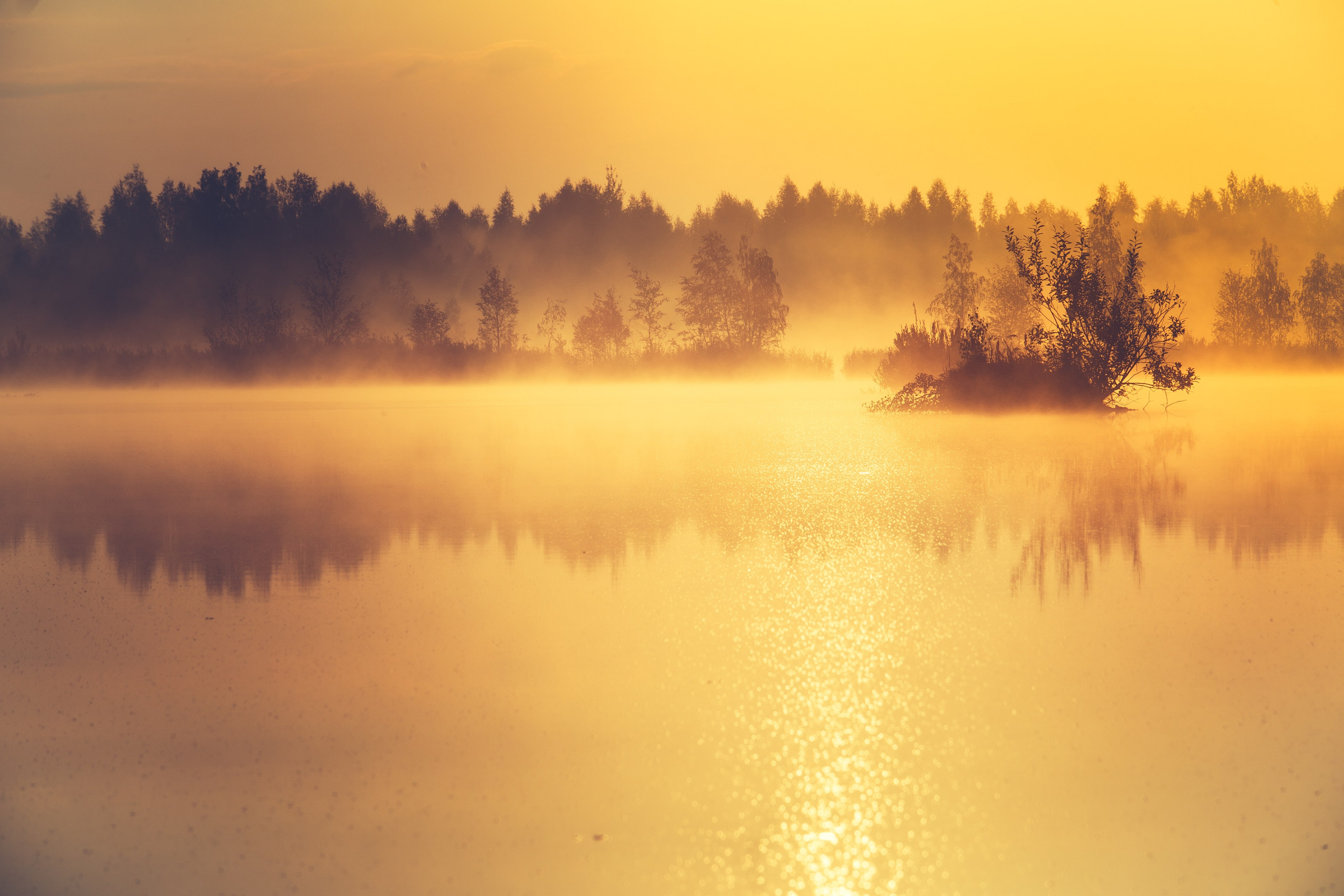 Средняя полоса. Свадебный и репортажный фотограф в Ярославле и Санкт-Петербурге Роман Микрюков
