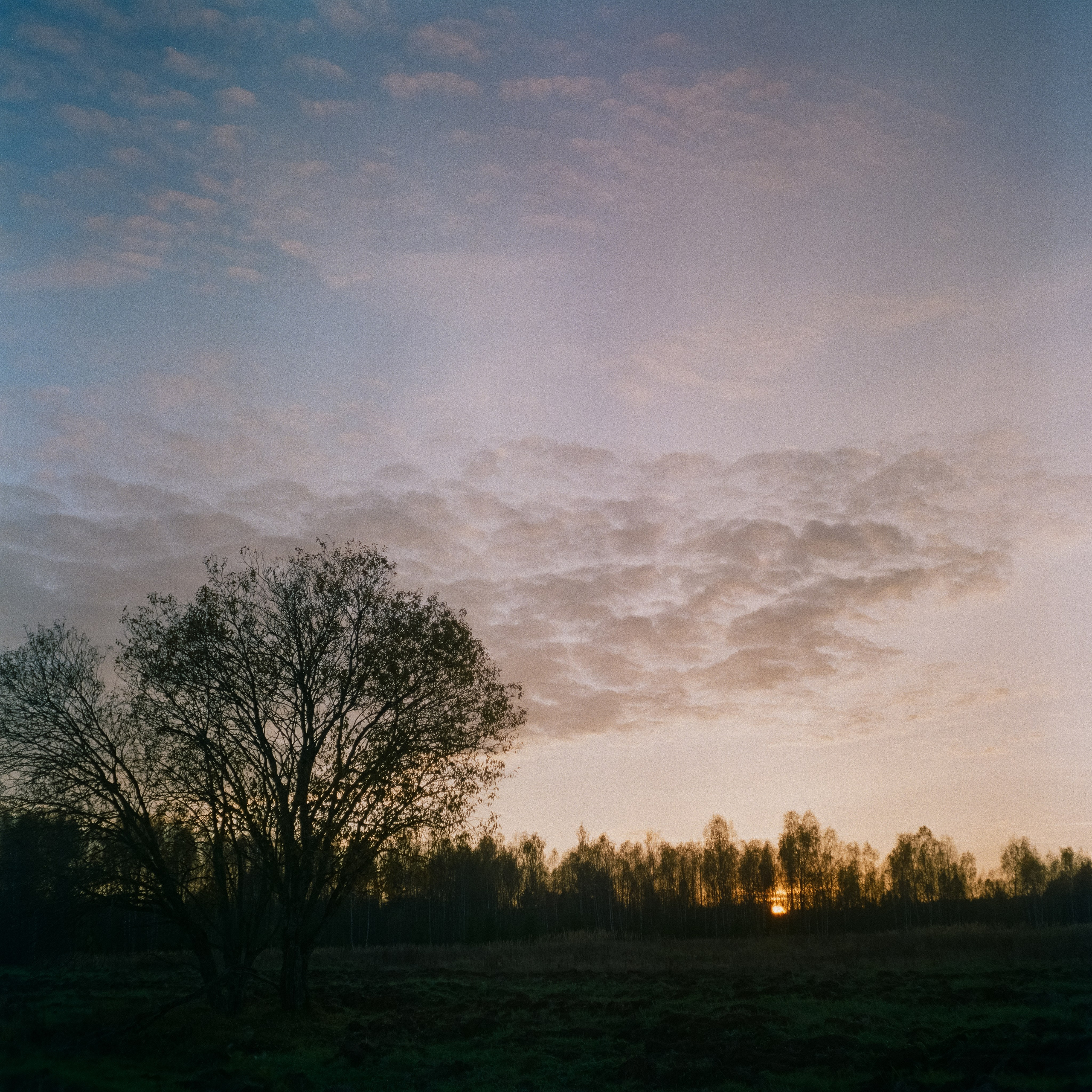 Rolleicord III–Xenar 75 mm f3.5 V / Fujicolor PRO 400H