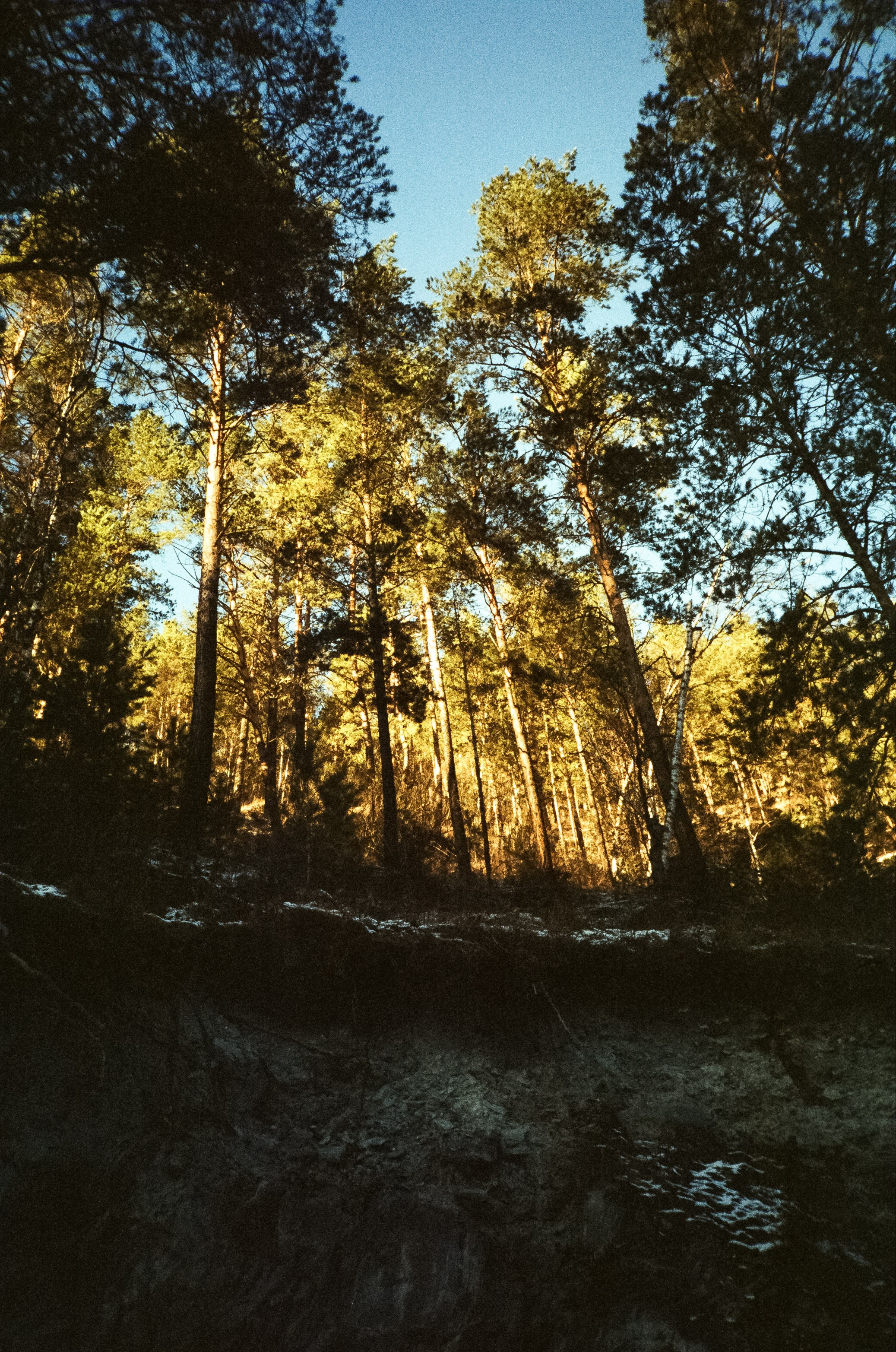 Дорога в сторону Сада Пионов, база Сила Алтая / 15 — 16 декабря 2023 г