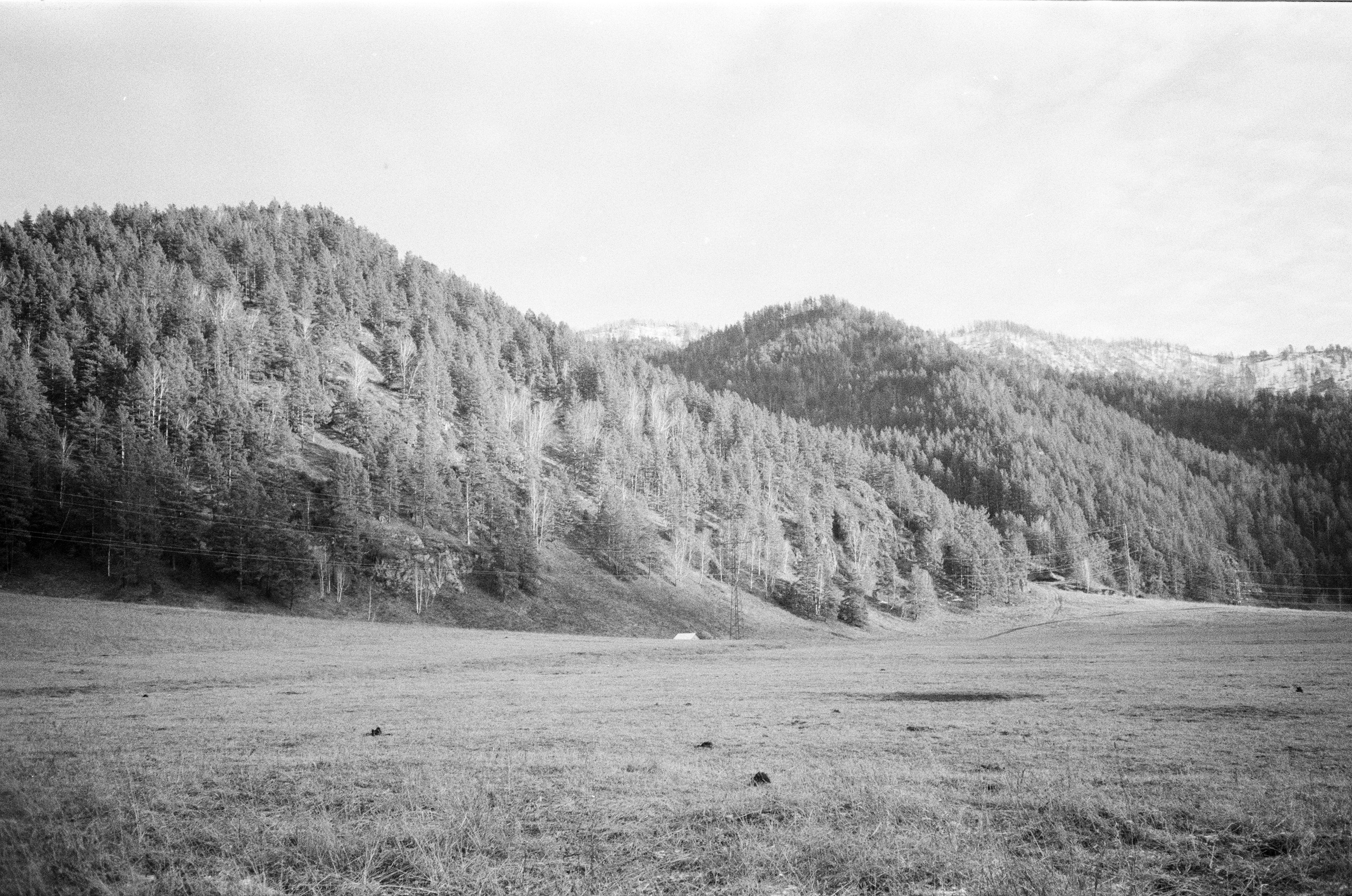 Olympus AF-10 SUPER / Ilford PAN 400 / Алтай, зима 2023 год