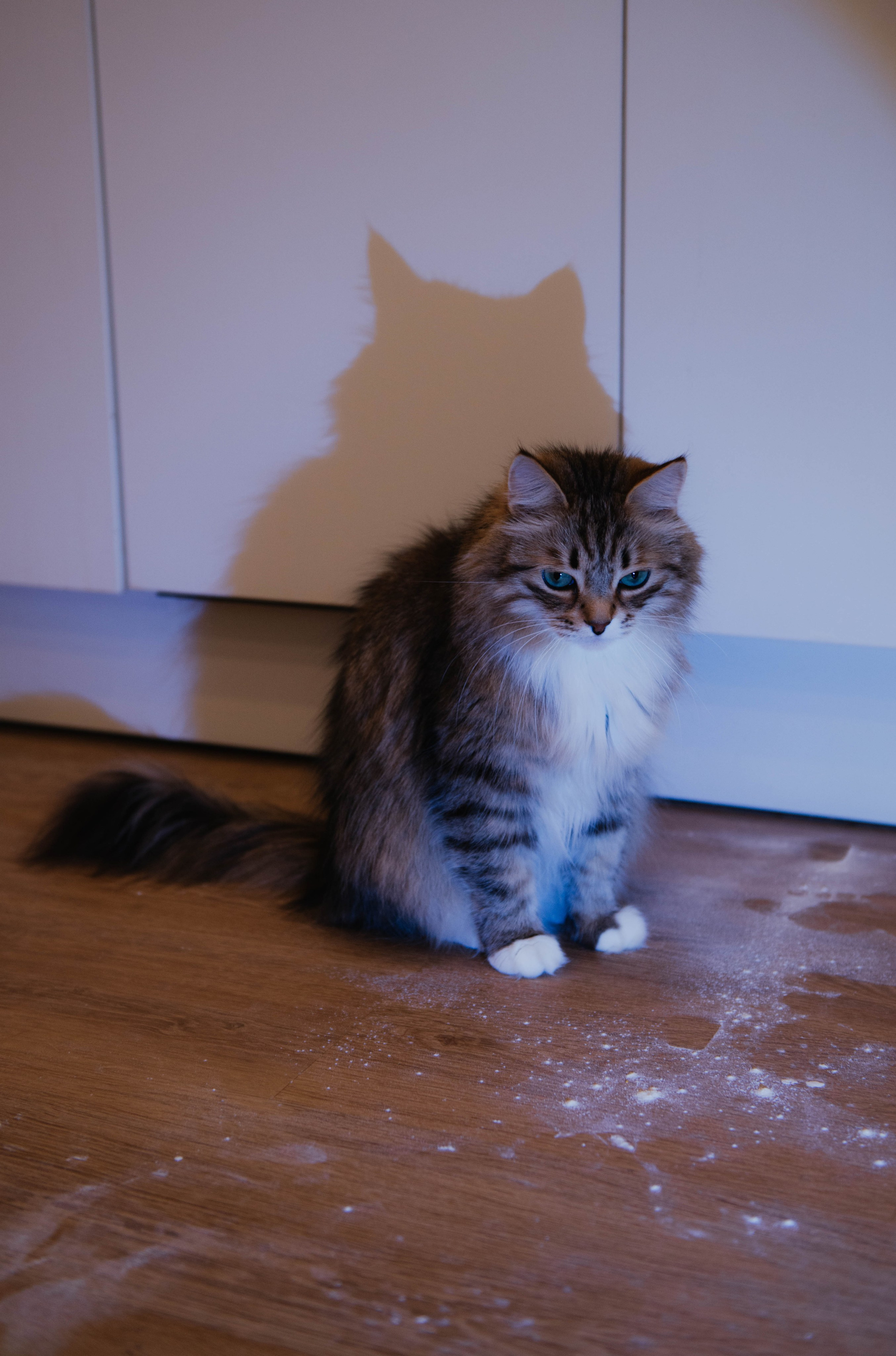 Масленица с теплом. Фотограф Санкт-Петербург