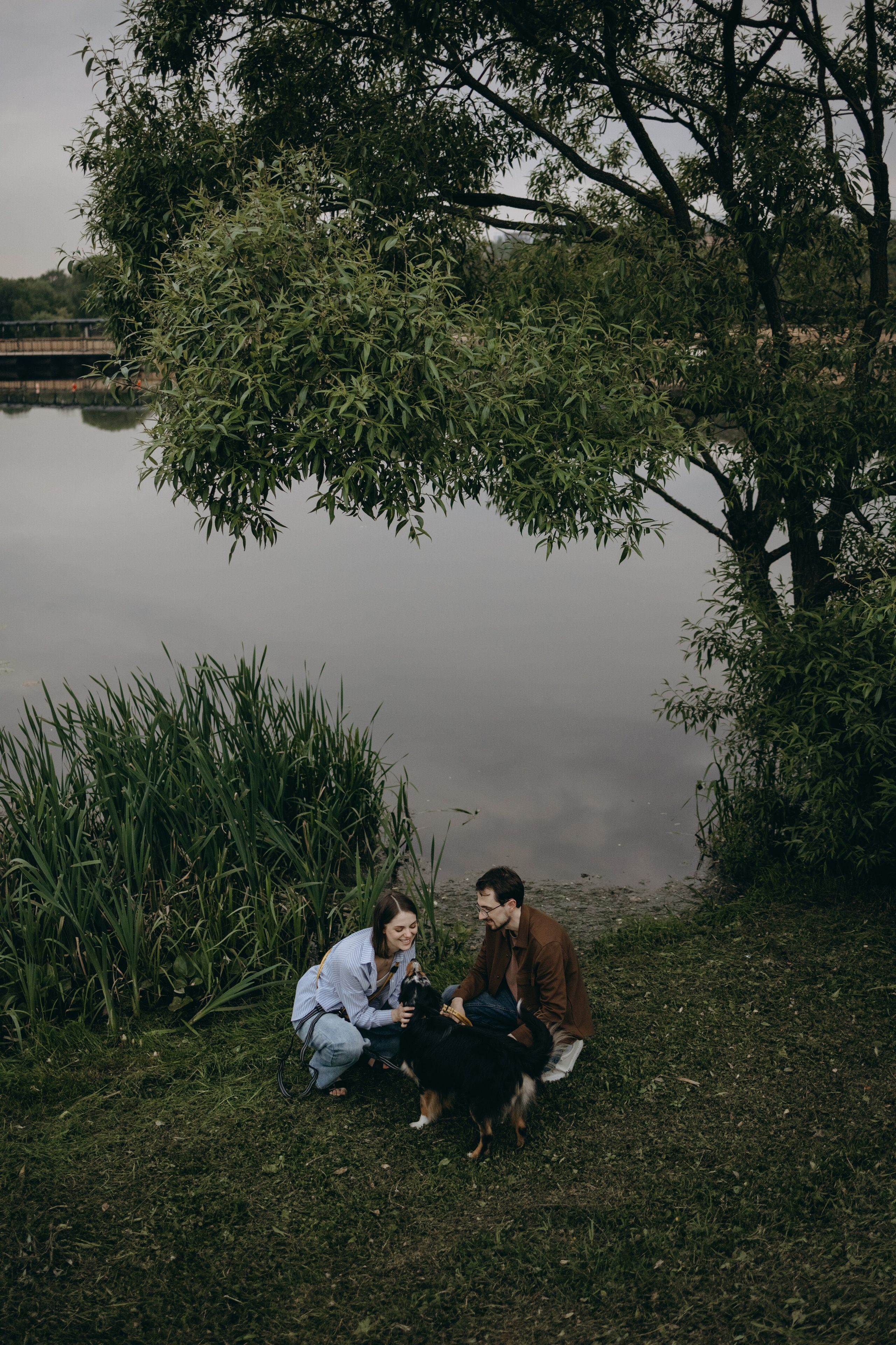 Настя, Никита и их Гром и Мяу. Фотограф — Анималист | Санкт-Петербург