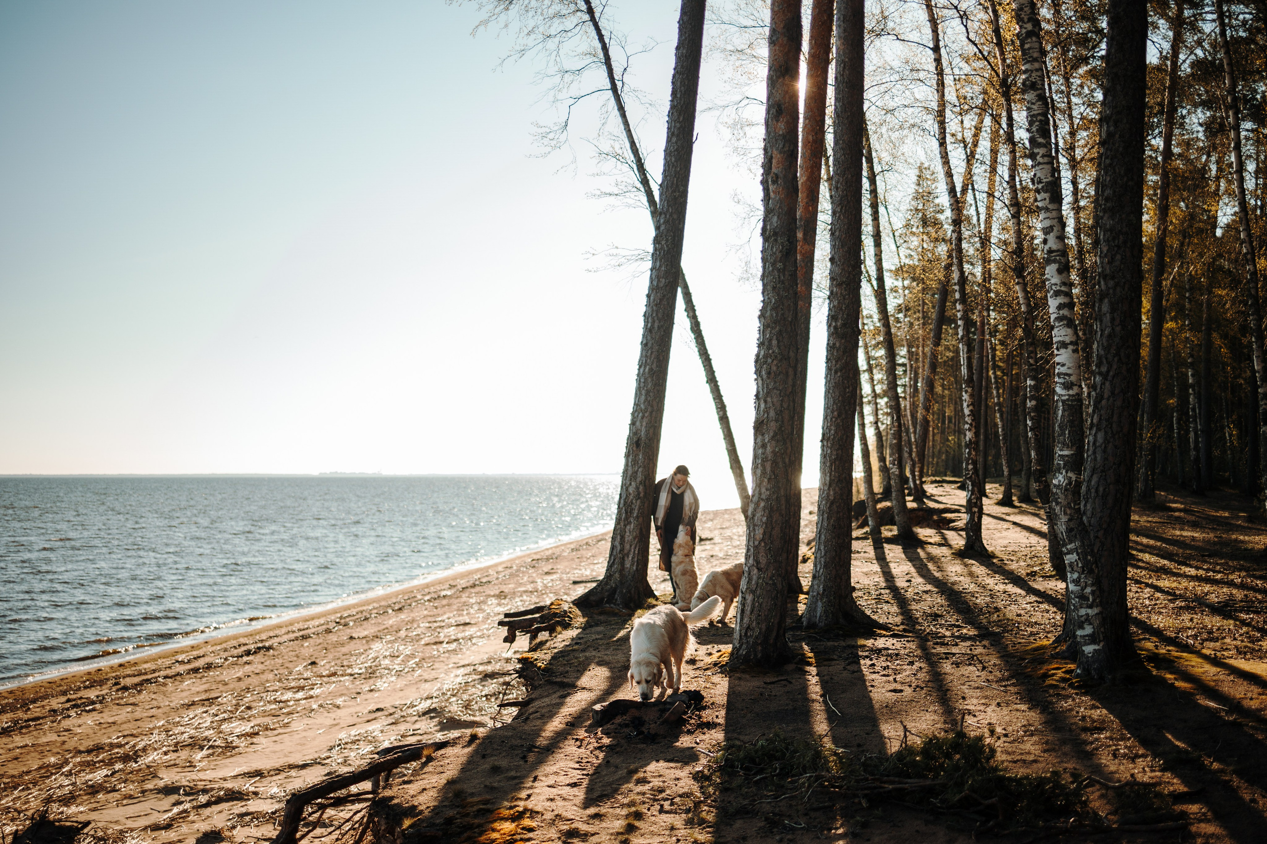 Катя и ее девочки. Фотограф — Анималист | Санкт-Петербург