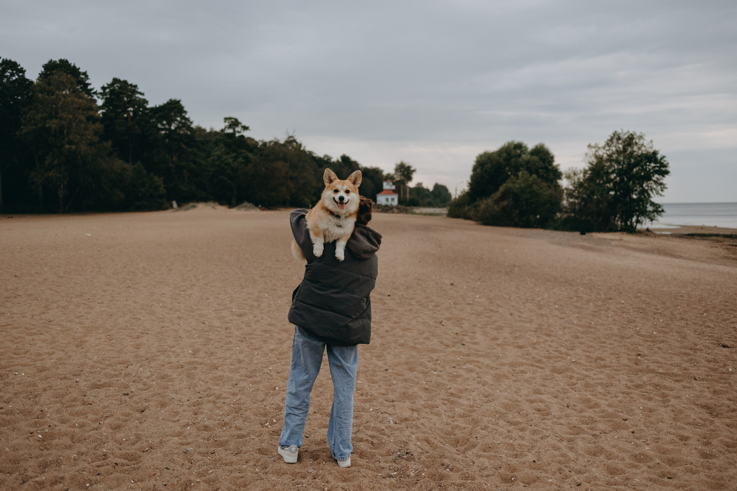 Лиза и Бакс. Фотограф — Анималист | Санкт-Петербург