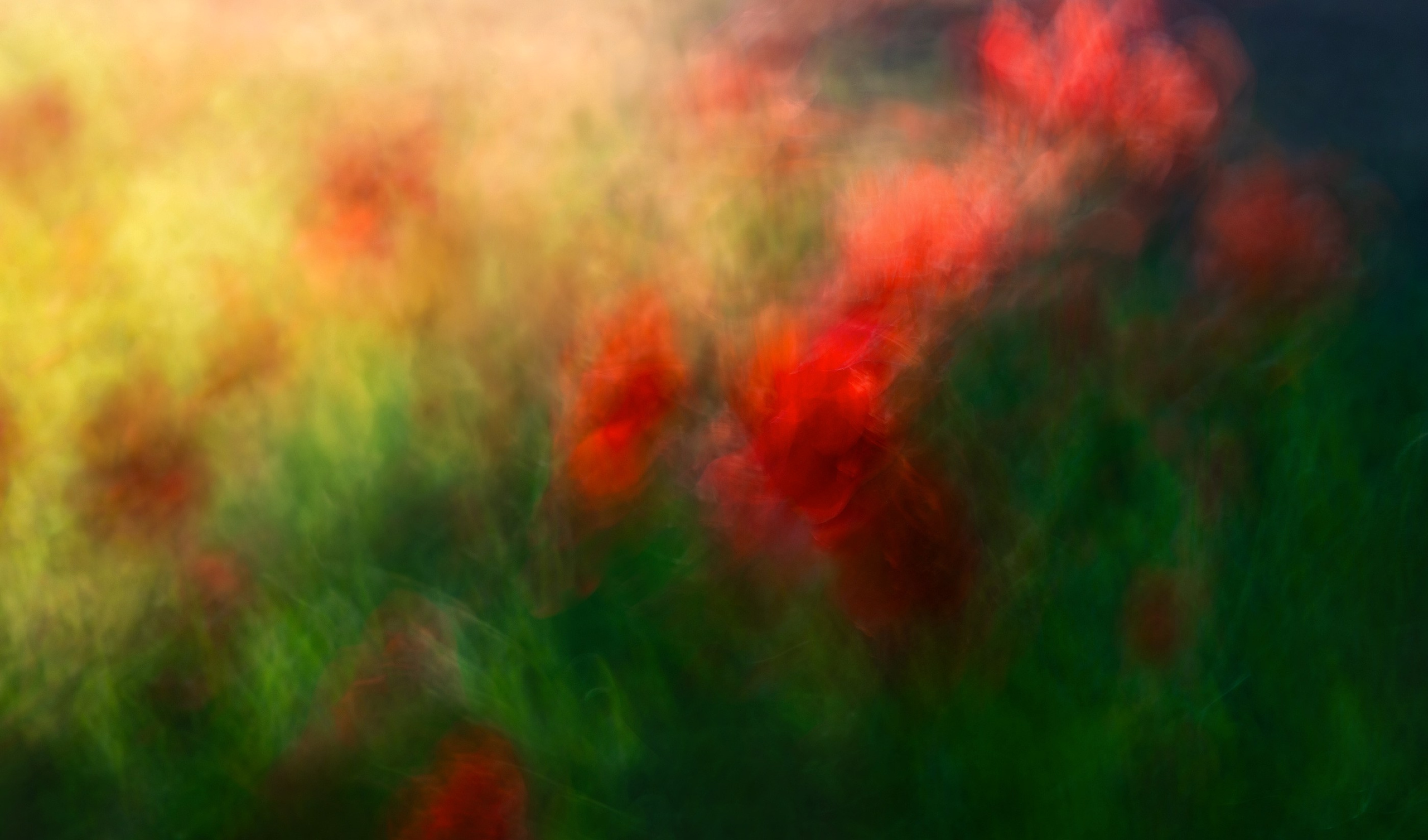 THE NATURE OF TIME. LUMEN DUO Art photography for interiors