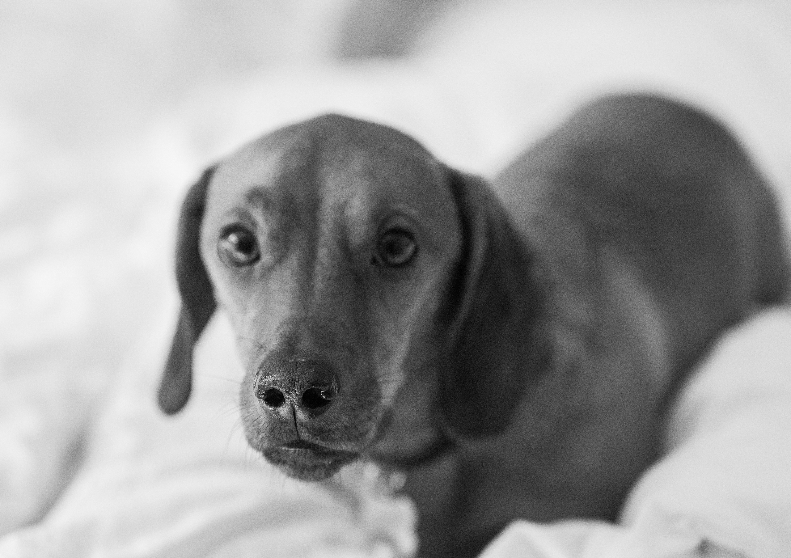 Клкллкаккк. Свадебный фотограф