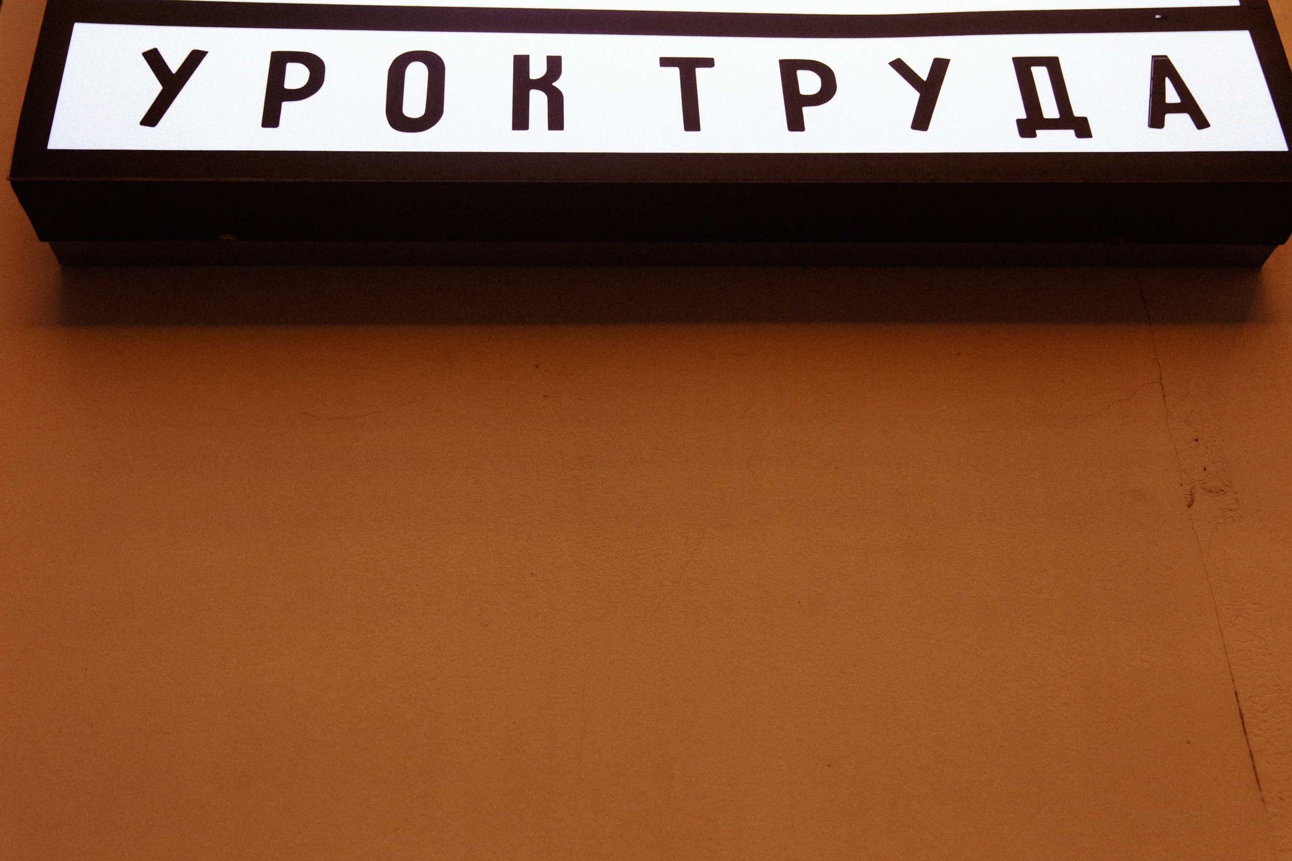 PLED. Фотограф в Москве