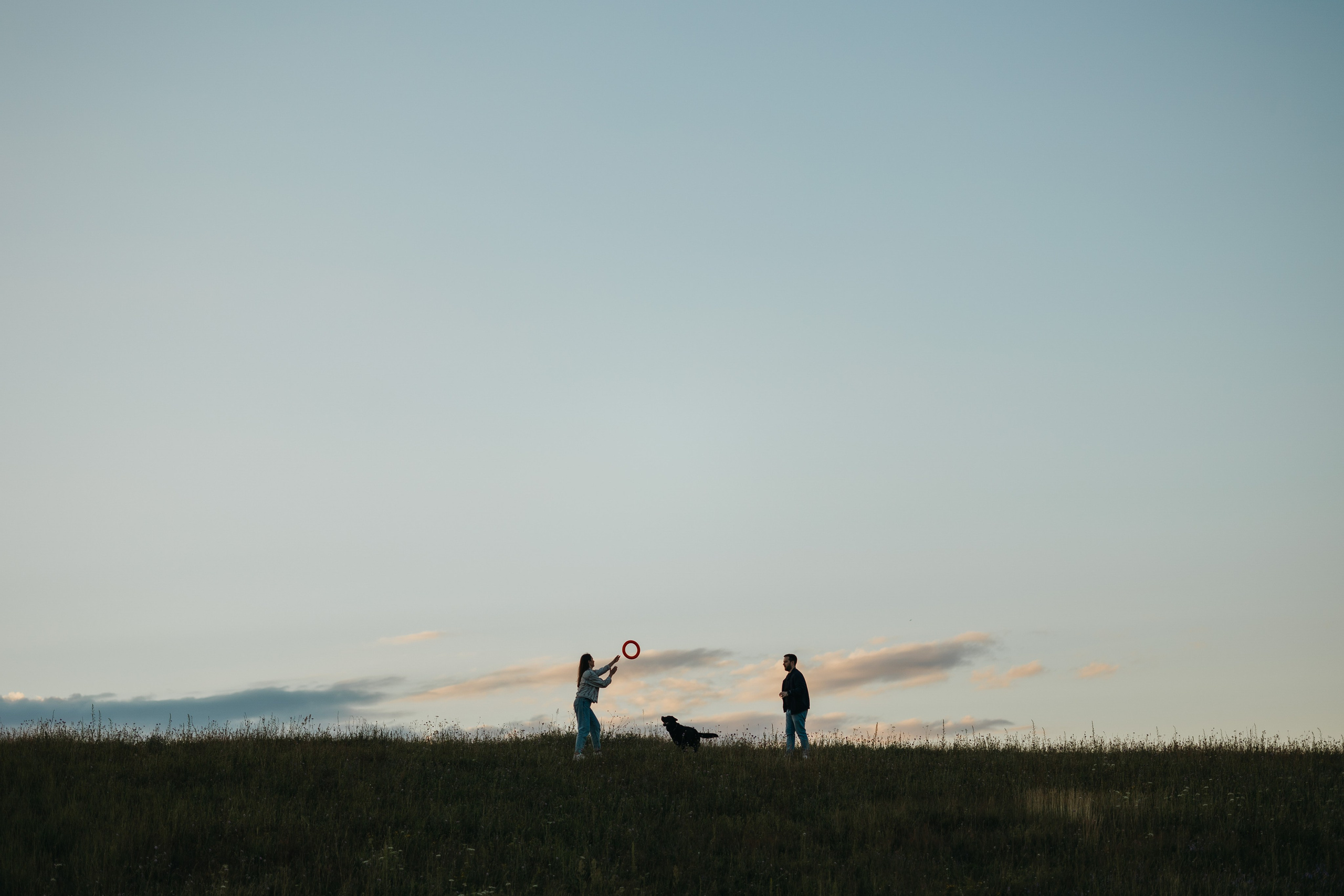 Бомбей и его семья. Фотограф — Анималист | Санкт-Петербург