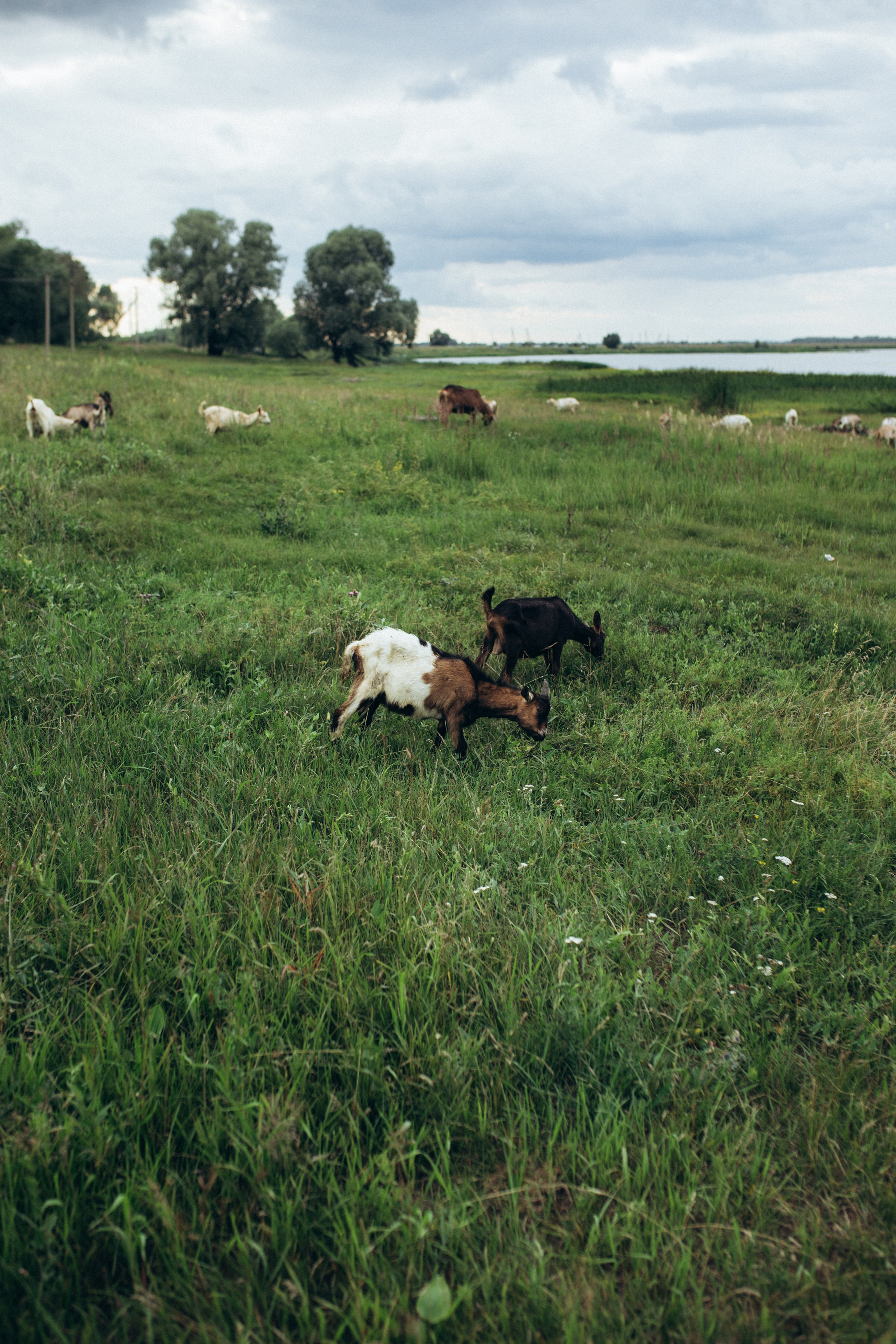 Юля Эмилия. Семейный и детский фотограф в Рязани Екатерина Воронцова