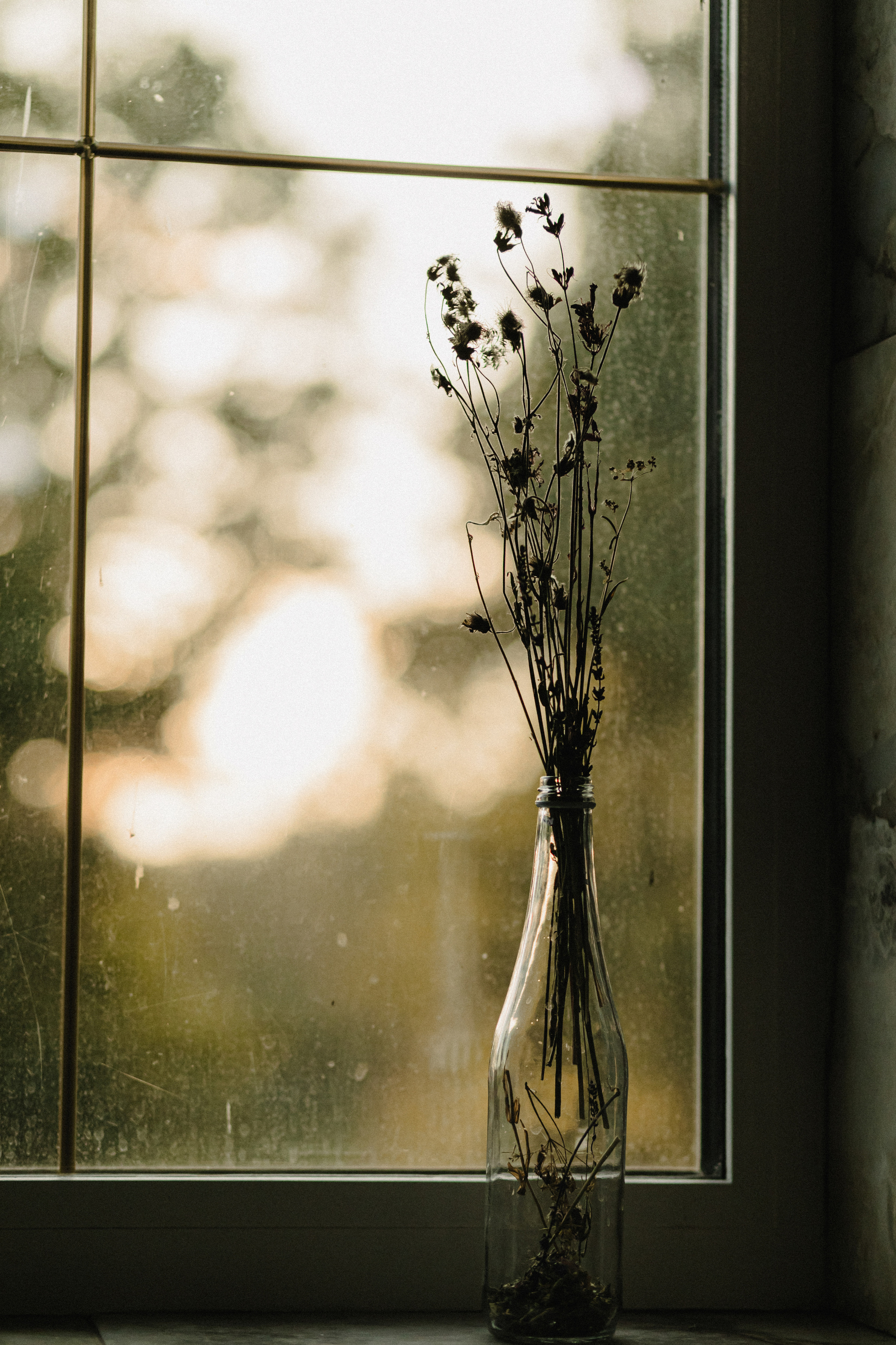 Свадьба Тани и Андрея. Свадебный и семейный фотограф Женя Добрянская в Нижнем Новгороде