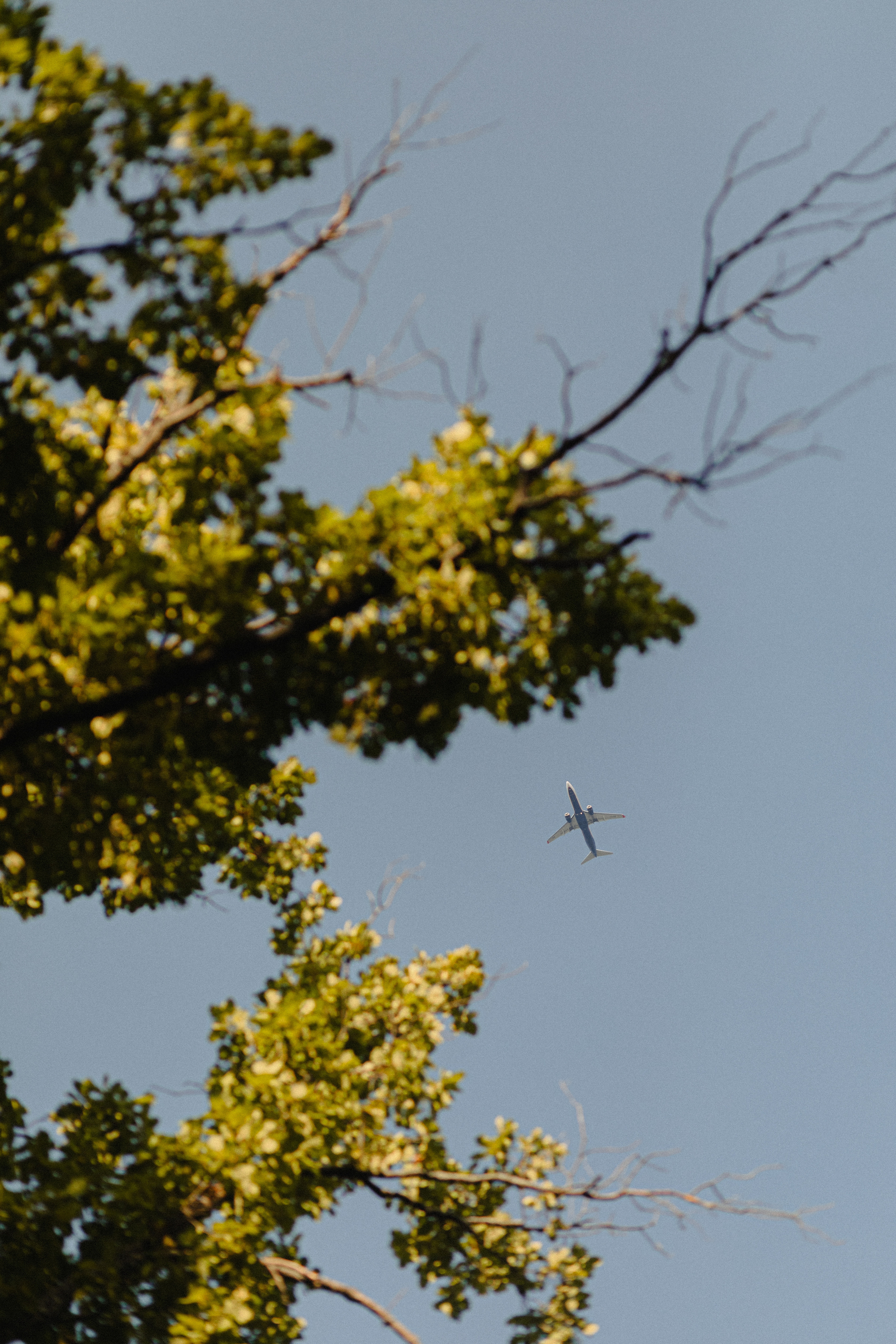 Свадьба Тани и Андрея. Свадебный и семейный фотограф Женя Добрянская в Нижнем Новгороде