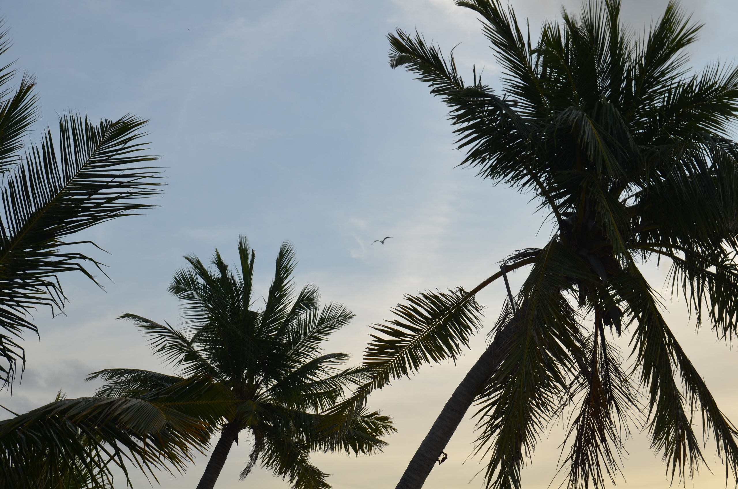 Визуальный дневник фотографа