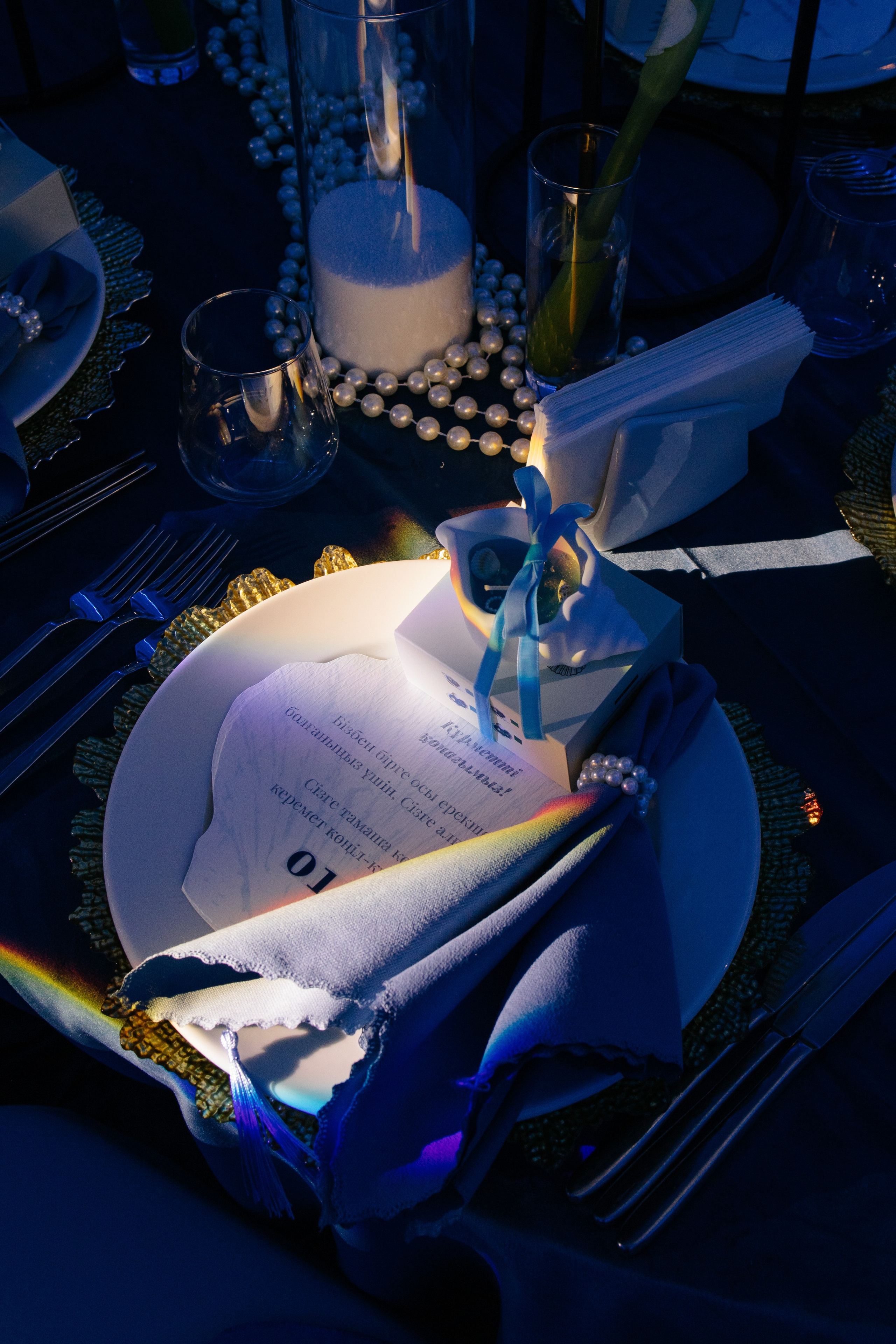 Miras & Aida (wedding). ___________________________________________________