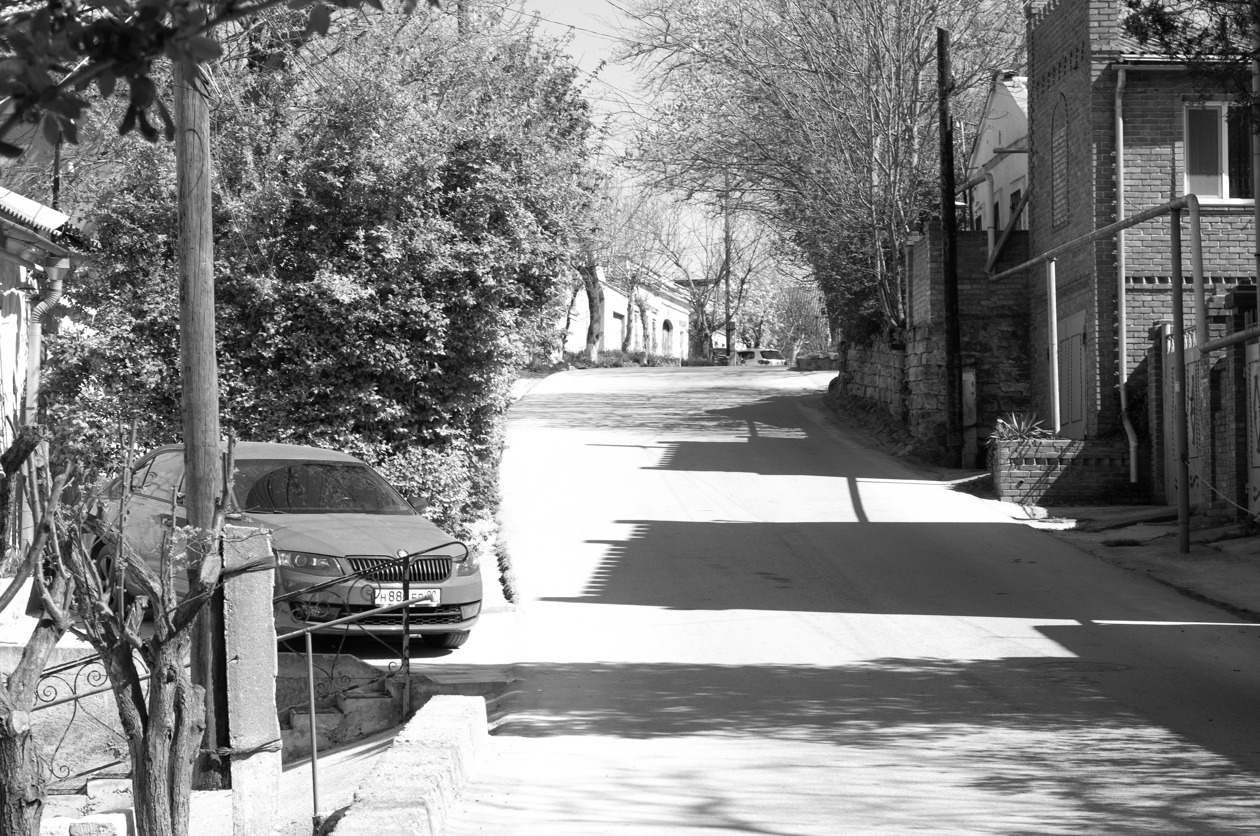 Для души. Сейчас вылетит ПТИЧКА! Фотосессии в Керчи