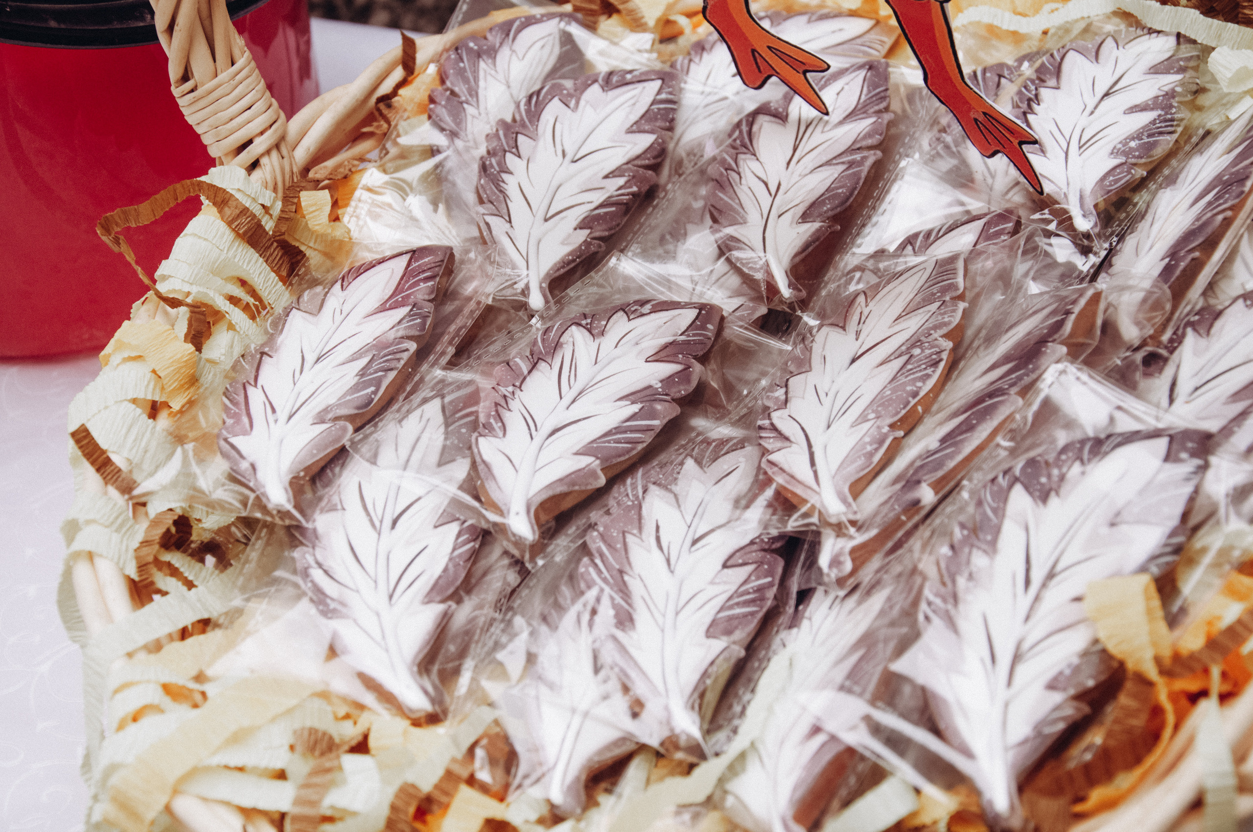 Отзывы. Фотограф Исламова Лилия, Смоленск