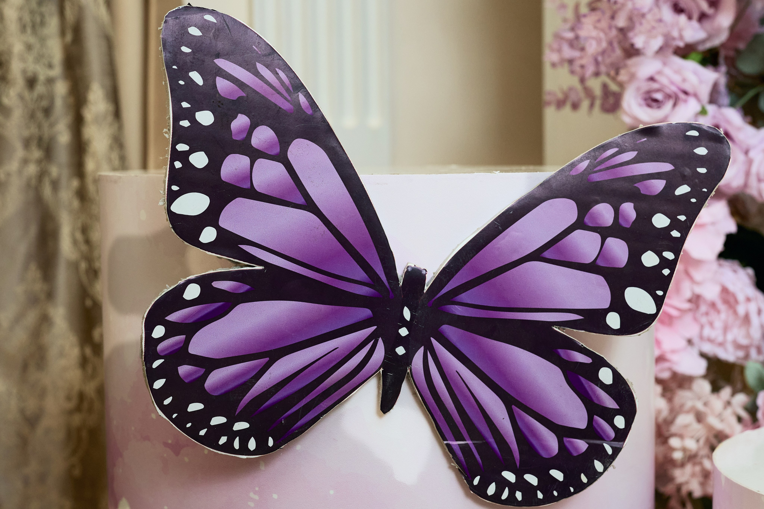 Фотография бабочки на 1 годик