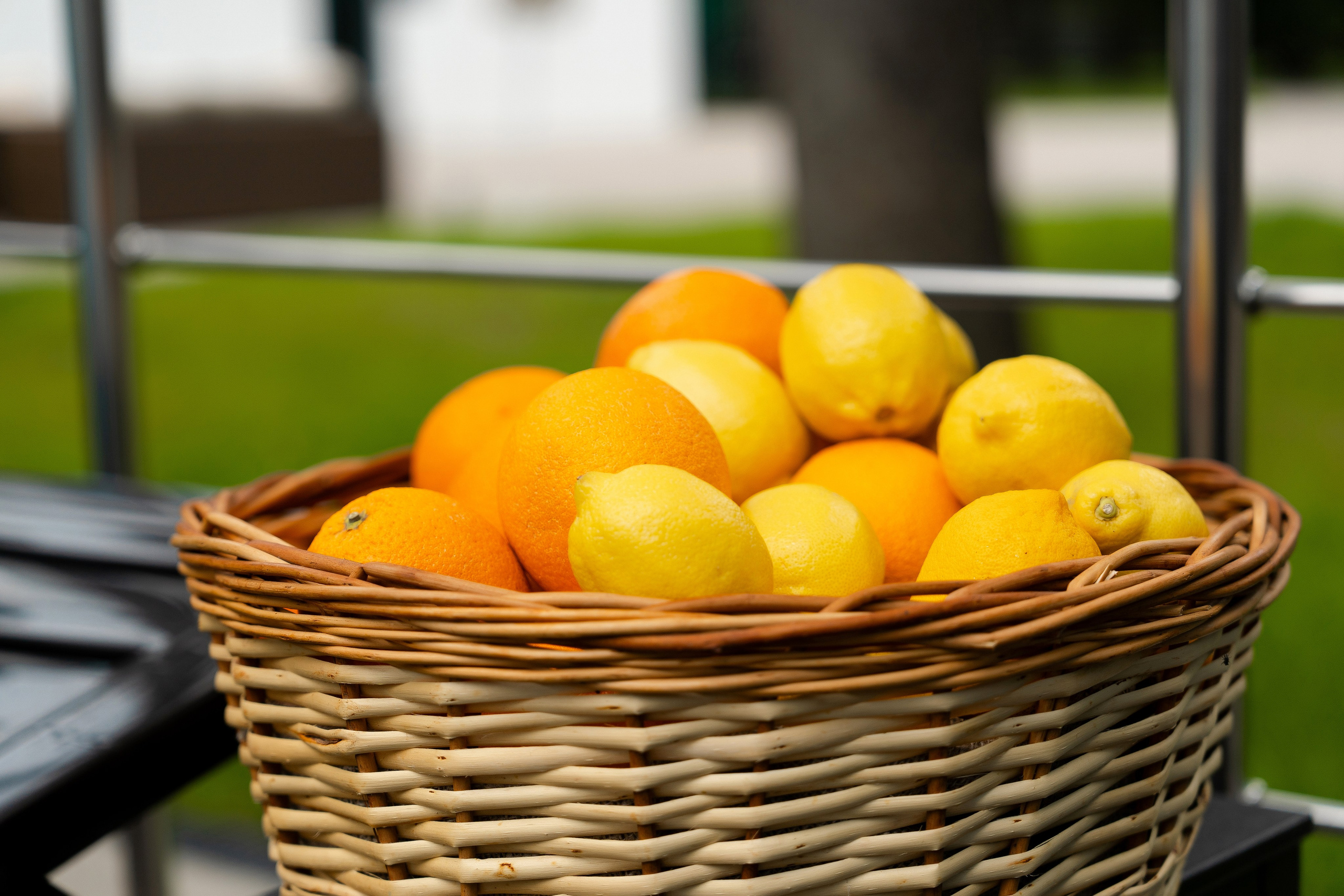 Mirror 4*. Фотограф и видеограф Елена Хмелевская