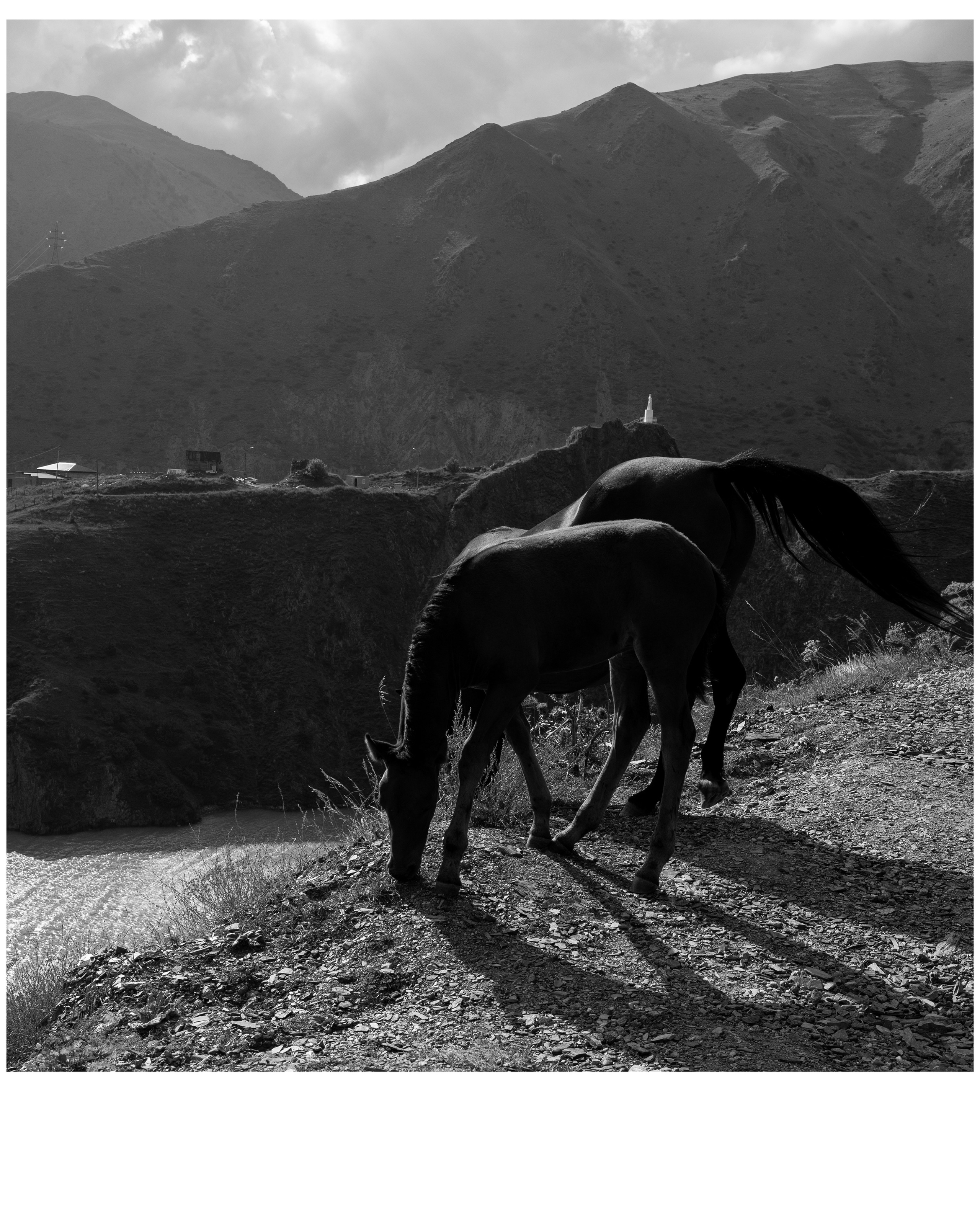 Блог. Фотограф и видеограф Елена Хмелевская