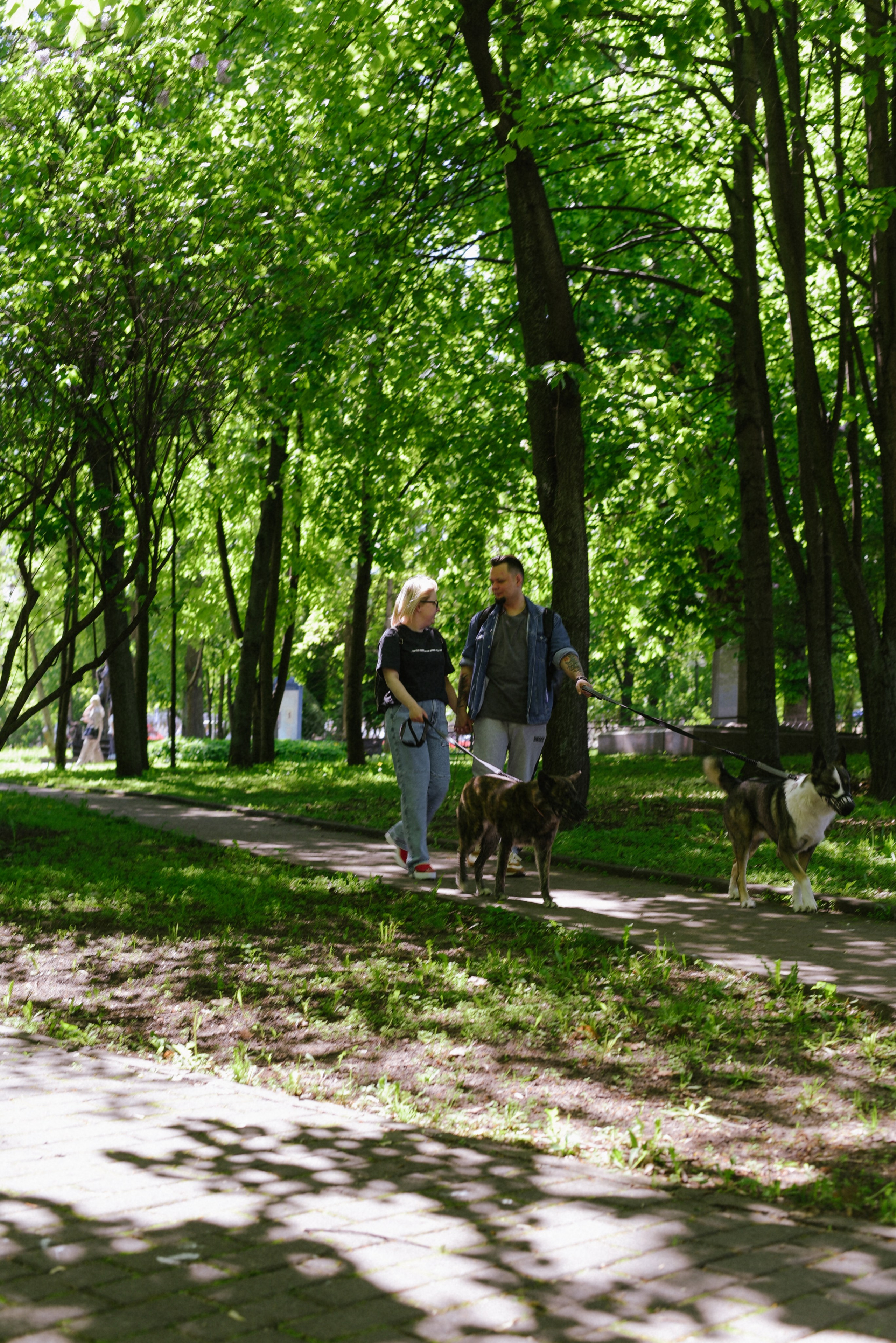 Иван и Надежда Прогулка с хвостатыми. Фотограф Лола Волна, город Москва