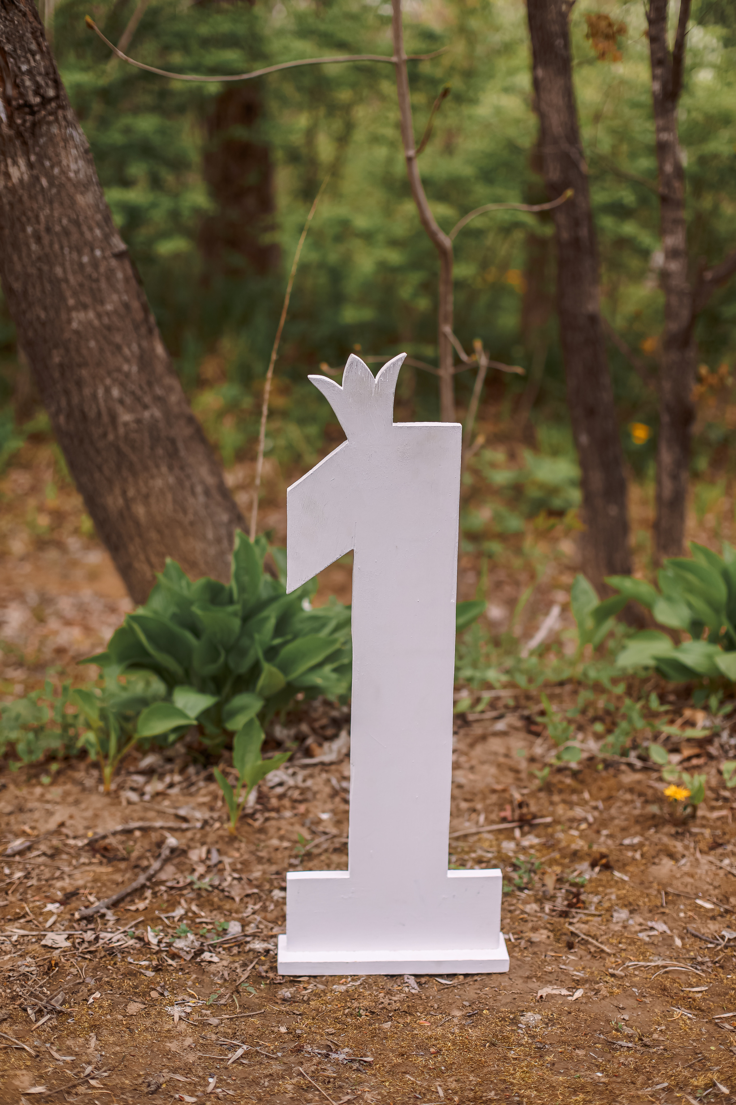 Цифры. Семейный и свадебный фотограф во Владивостоке Аня Смецкая