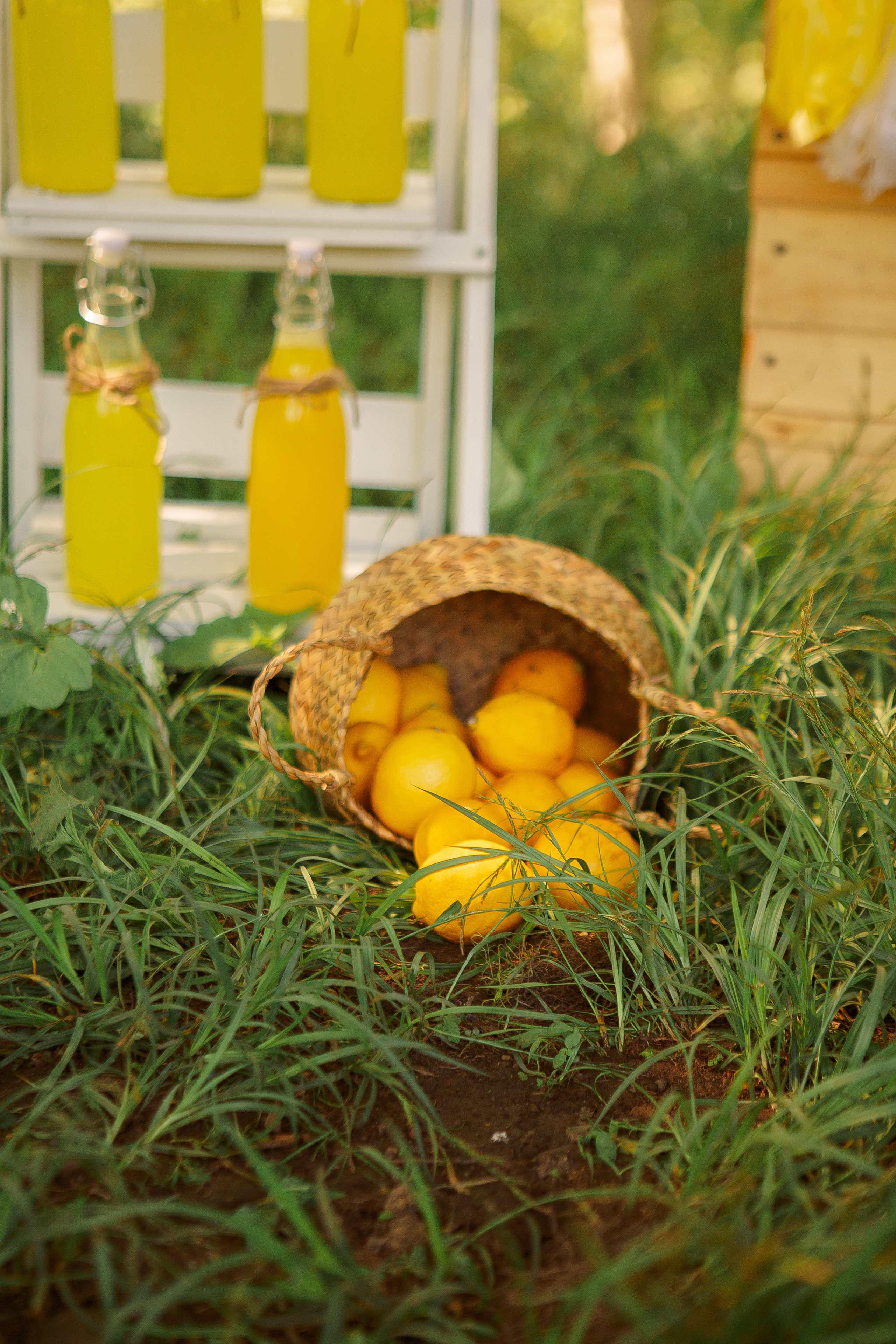 Лимонадный. Семейный и свадебный фотограф во Владивостоке Аня Смецкая