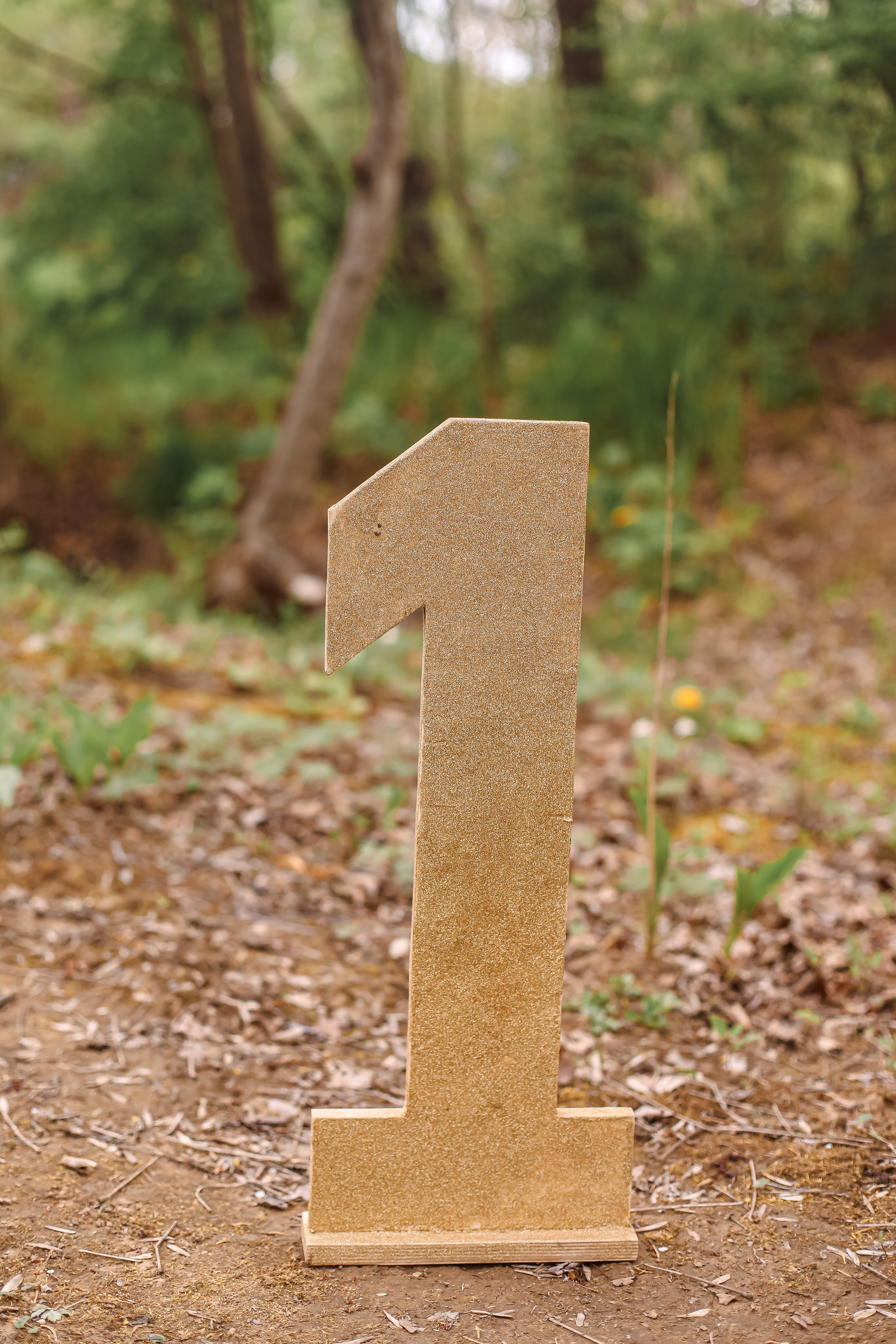 Цифры. Семейный и свадебный фотограф во Владивостоке Аня Смецкая