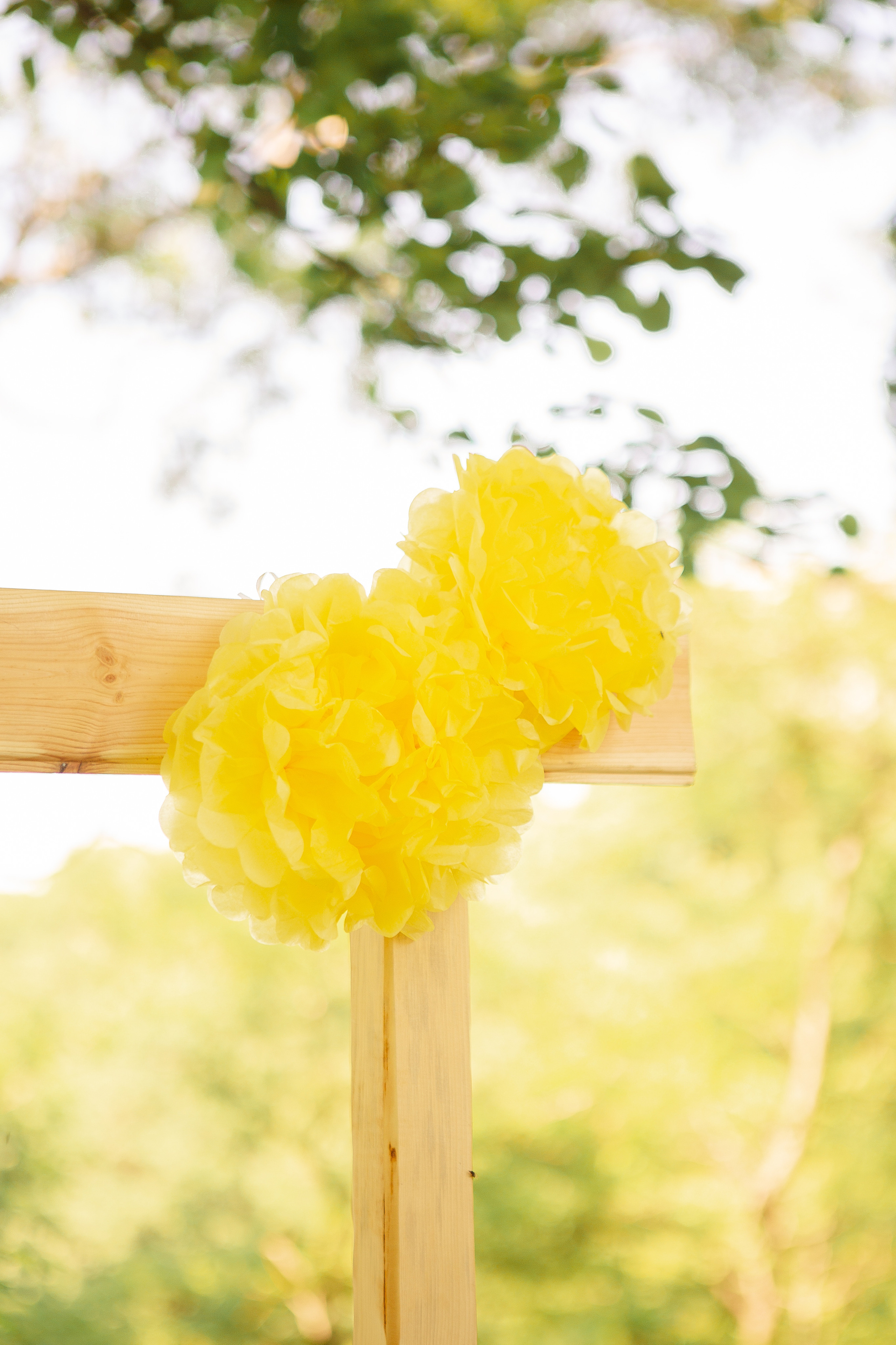 Лимонадный. Семейный и свадебный фотограф во Владивостоке Аня Смецкая